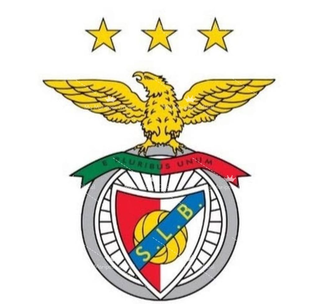 Tela Clube de Futebol do Benfica 40x50cm - 2270