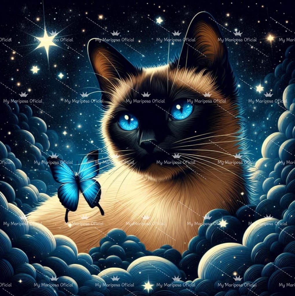 Tela Gato Siamês nas Estrelas 40x40cm - 2302