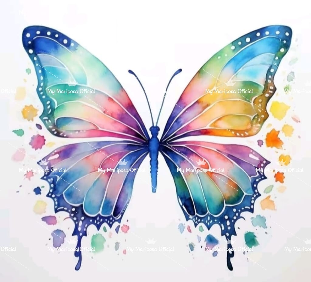 Tela Coleção Borboleta Mágica - 30x30cm (2478)