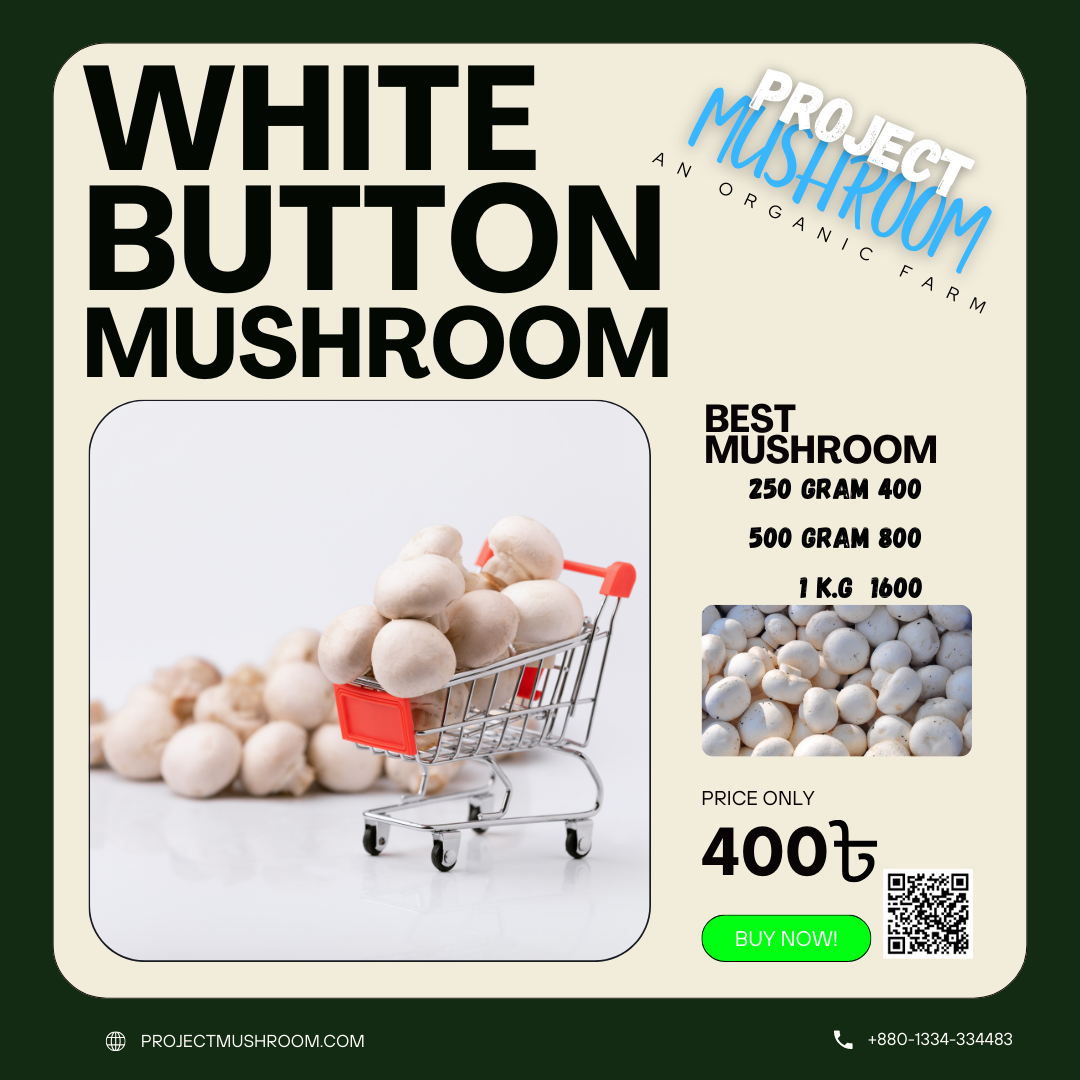 Fresh white button mushrooms 1kg