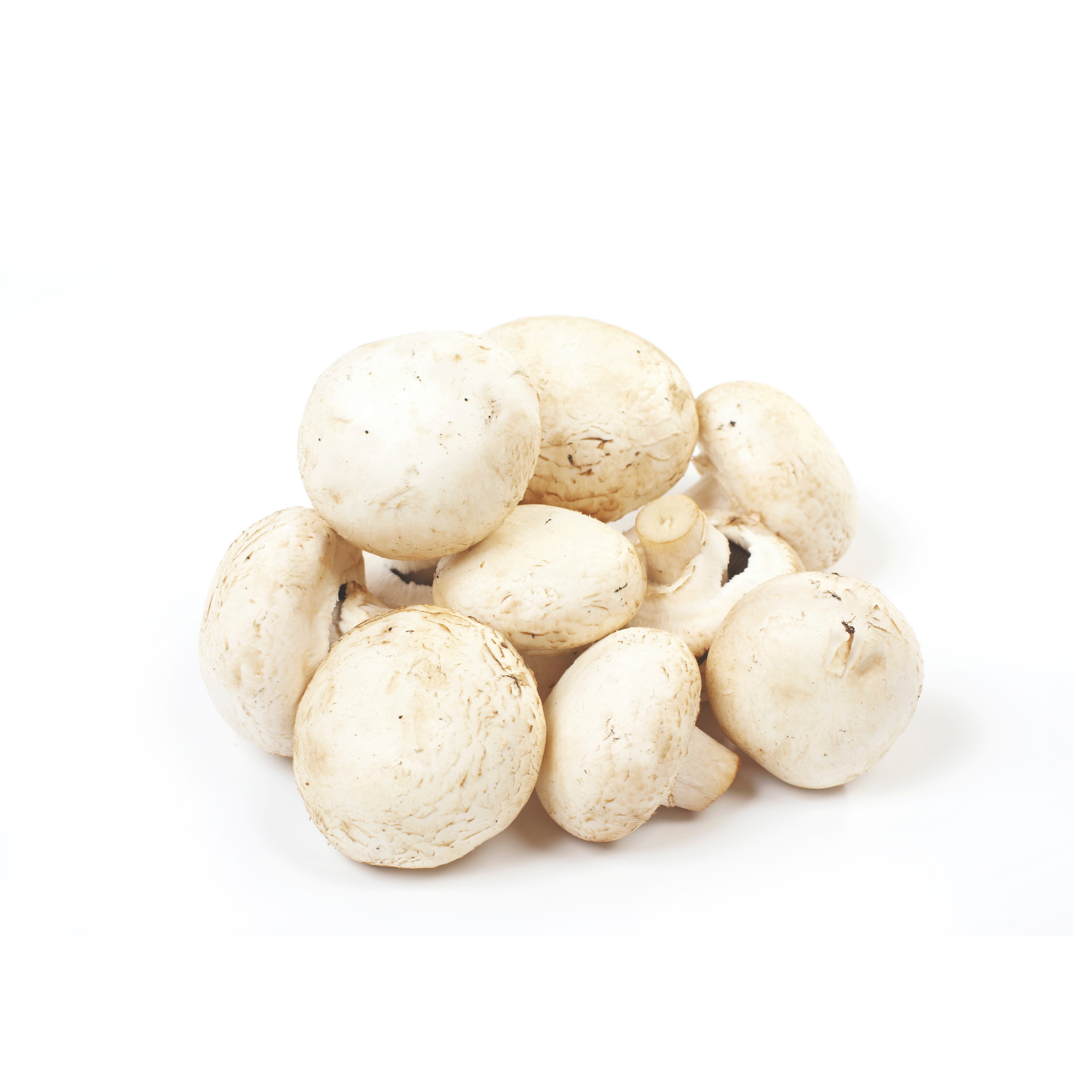 Fresh Organic White Button Mushroom 500 gram