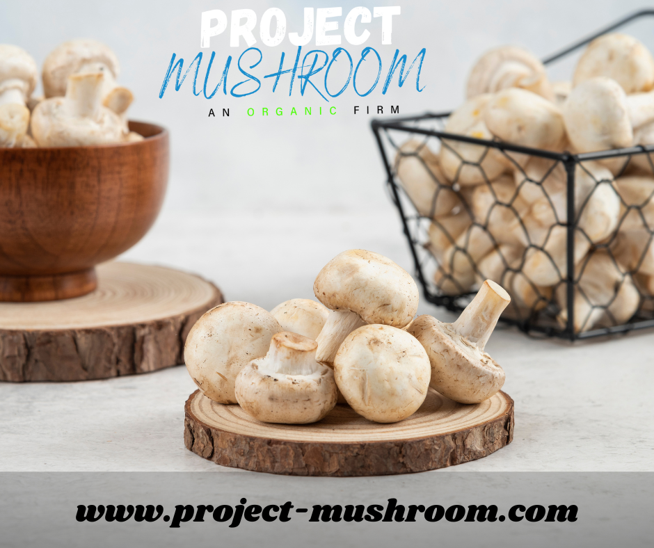 250 gram Organic White Mushrooms