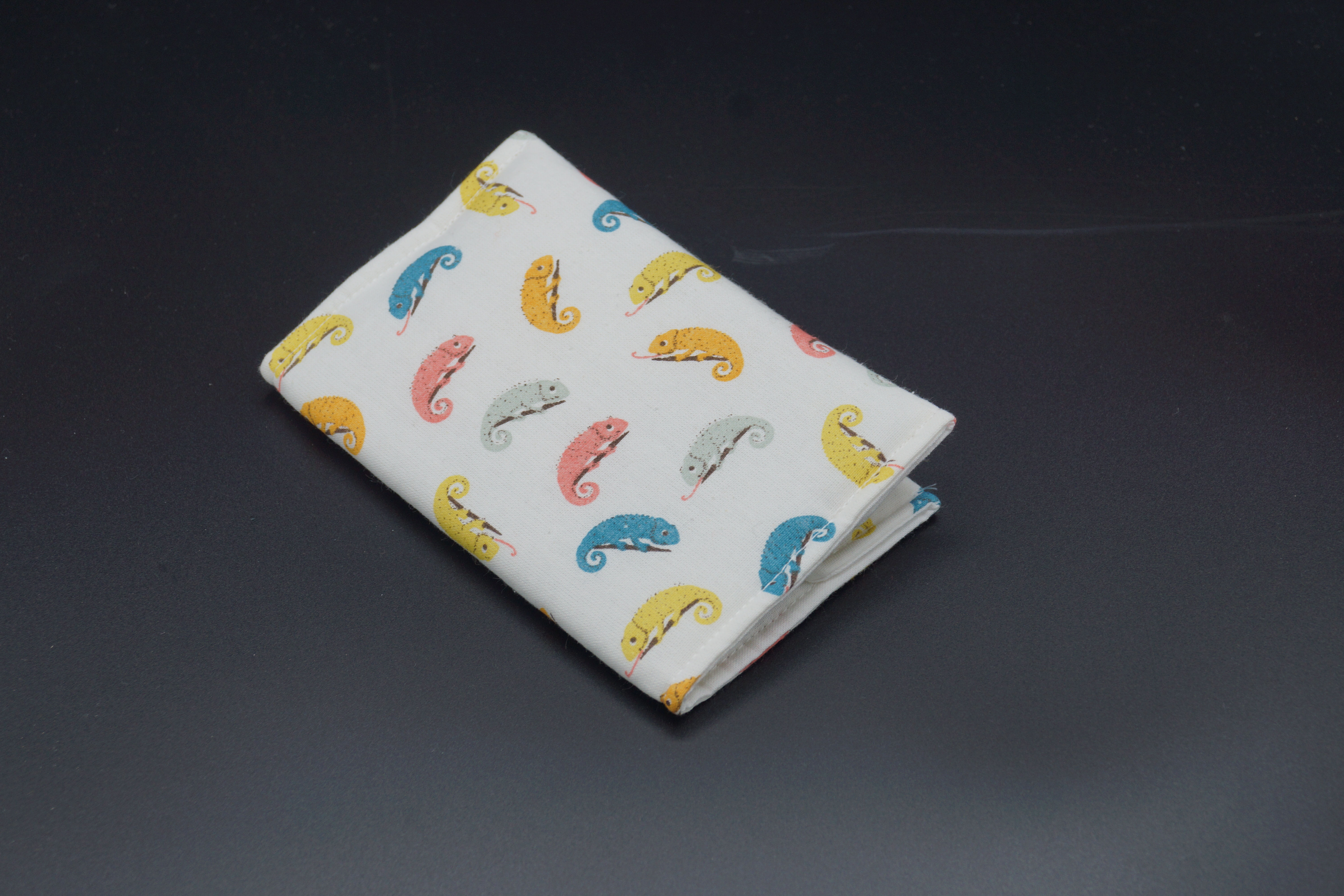 Pochette de passeport