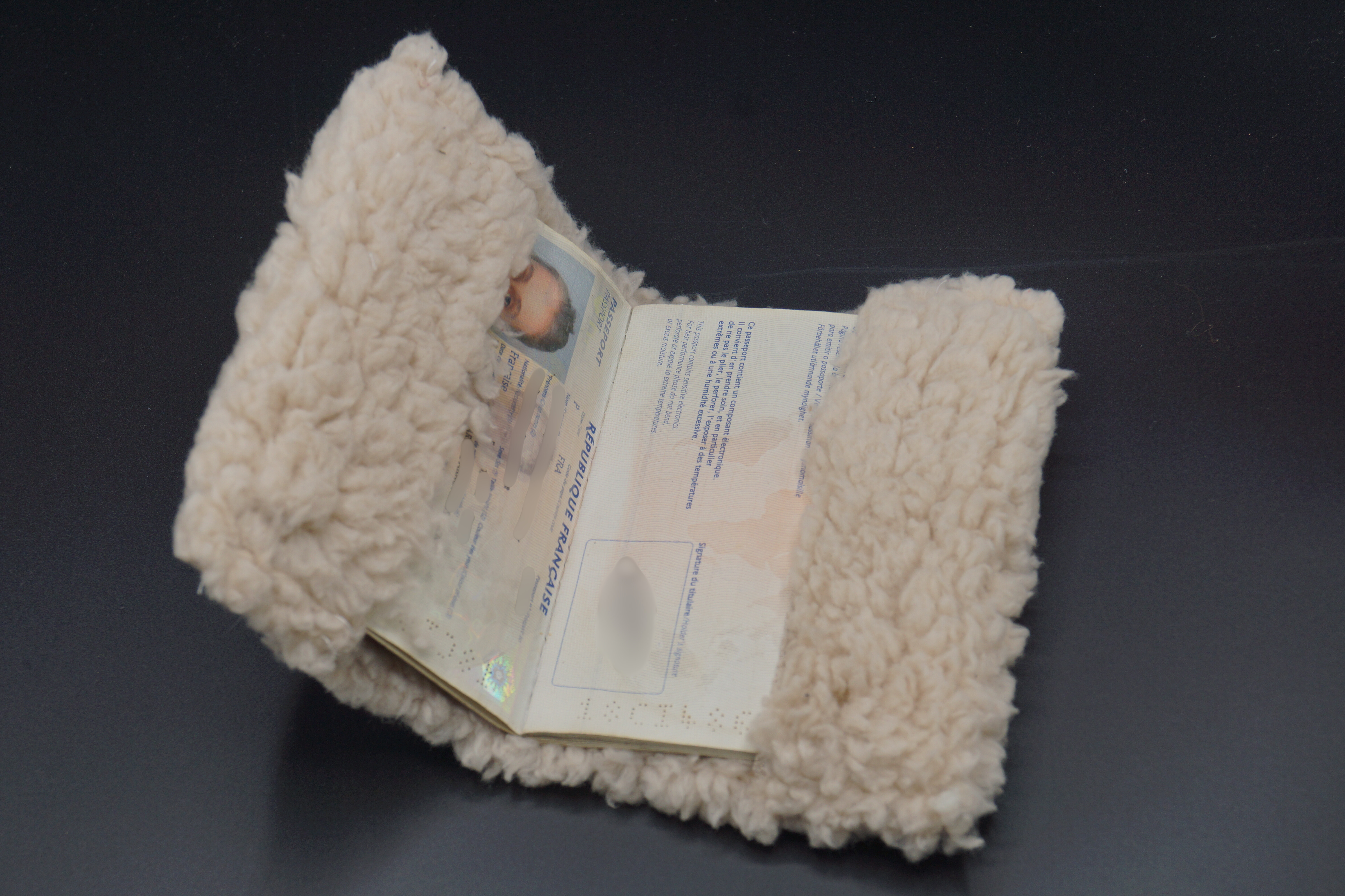 Pochette de passeport