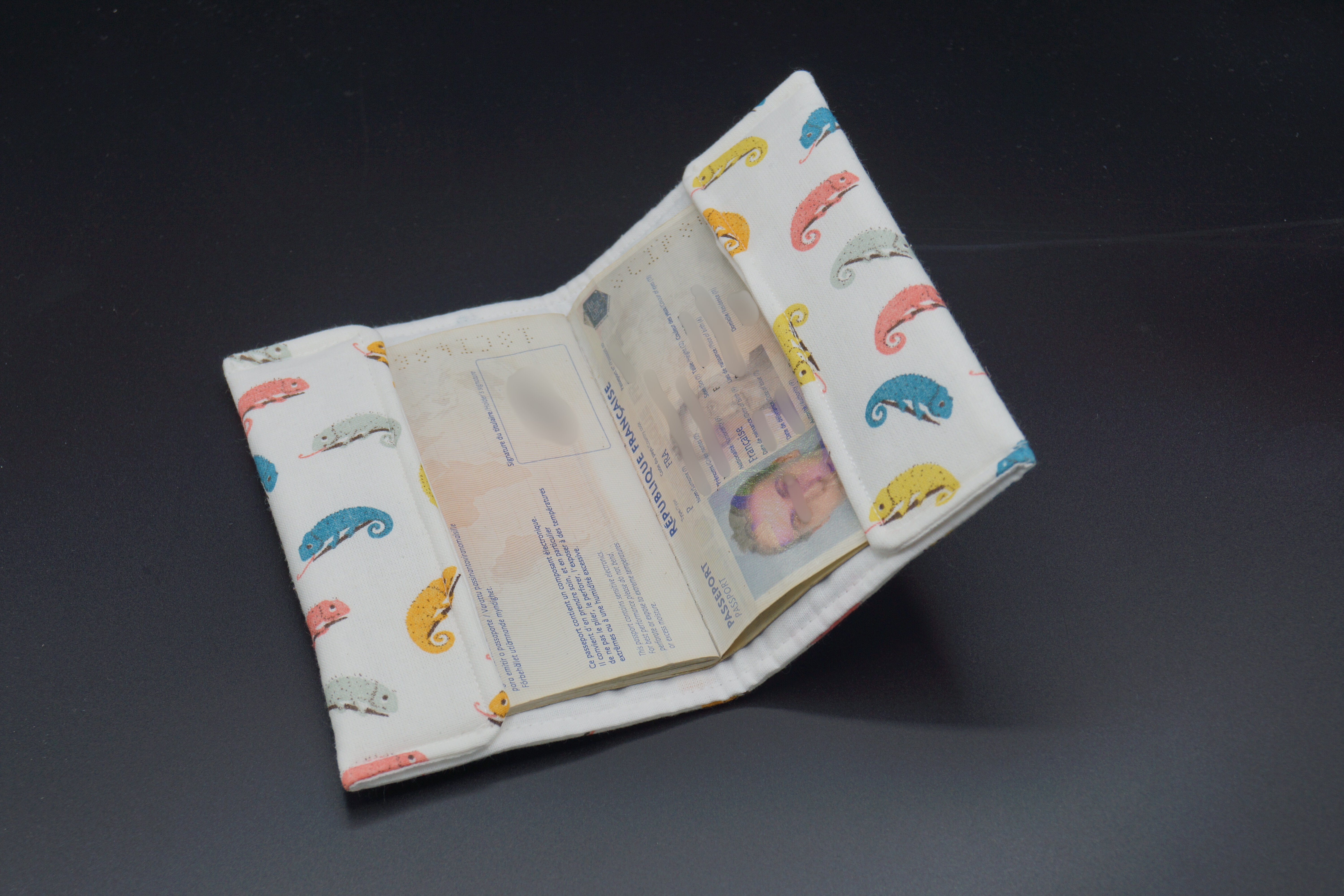 Pochette de passeport