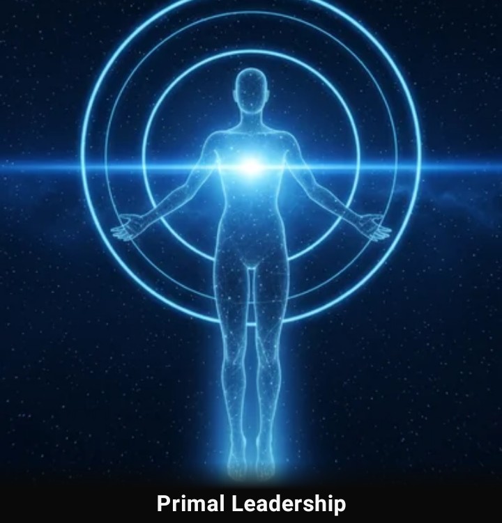 Primal Leadership