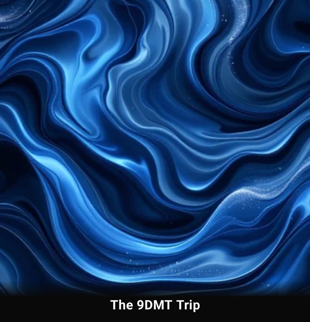 9DMT Journey