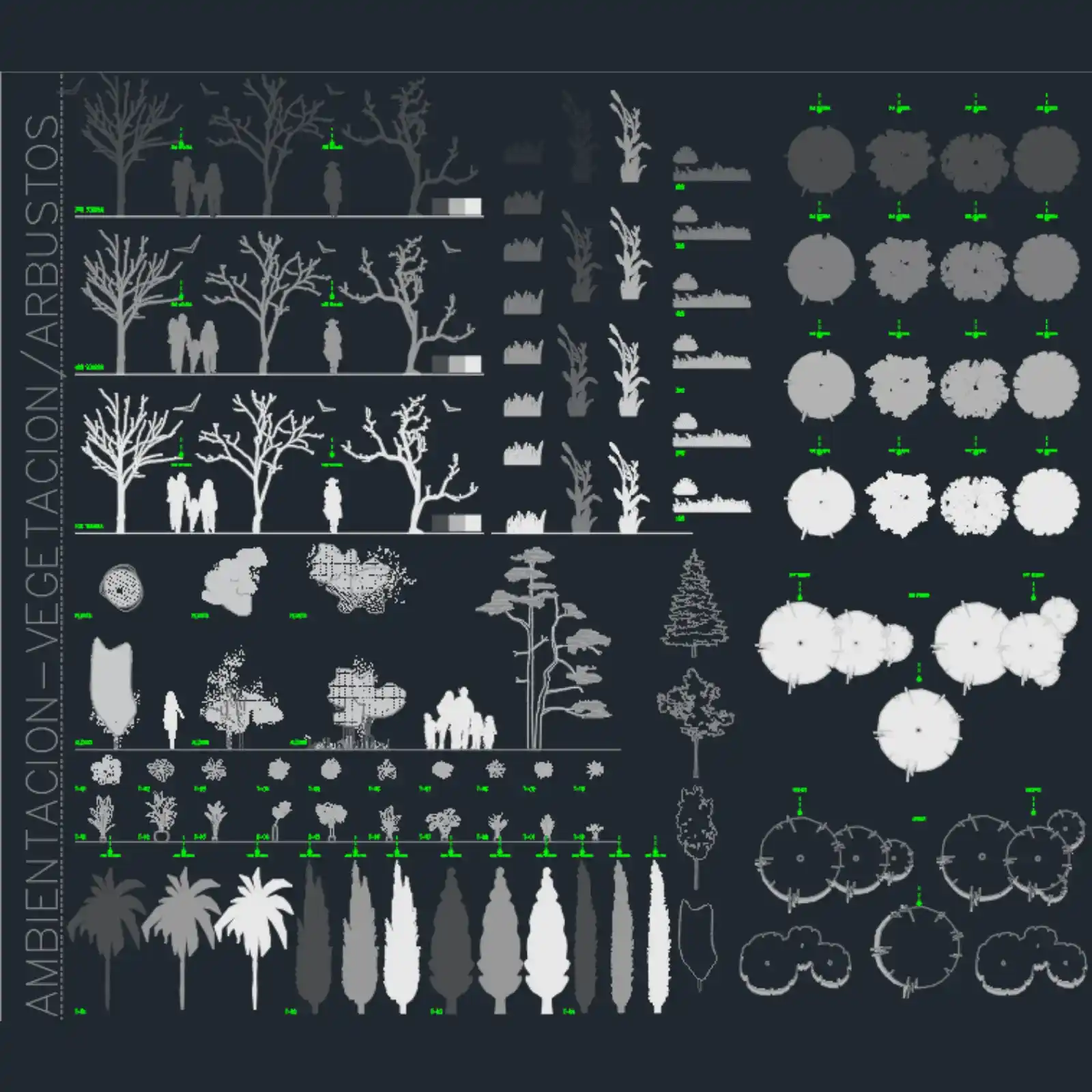Pack Profesional de Vegetación para AutoCAD: +30 Bloques Dinámicos de Árboles y Arbustos