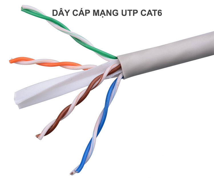 Cuộn 10m đến 100m Cáp mạng Cat6 UTP LB Link bấm sẵn đầu