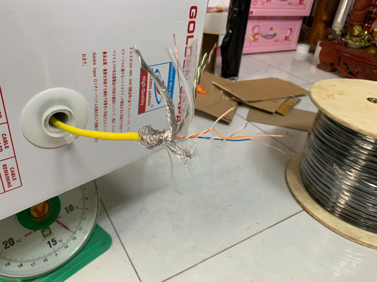 Cáp mạng Golden Japan chuẩn Cat6 SFTP