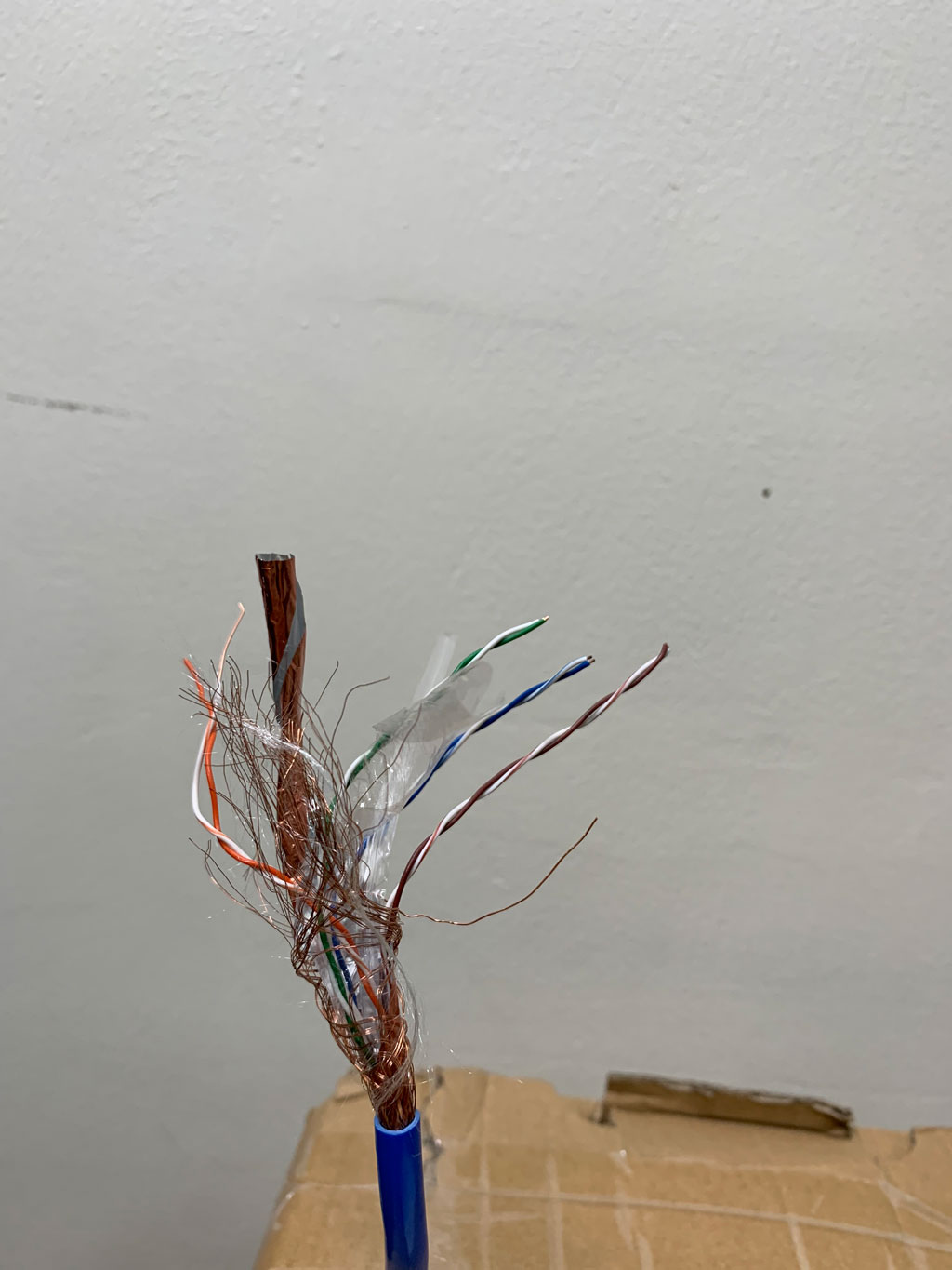 10 - 100M Cáp mạng AMPLX Cat6 chống nhiễu chuẩn SFTP lõi đồng nguyên chất bấm sẵn đầu