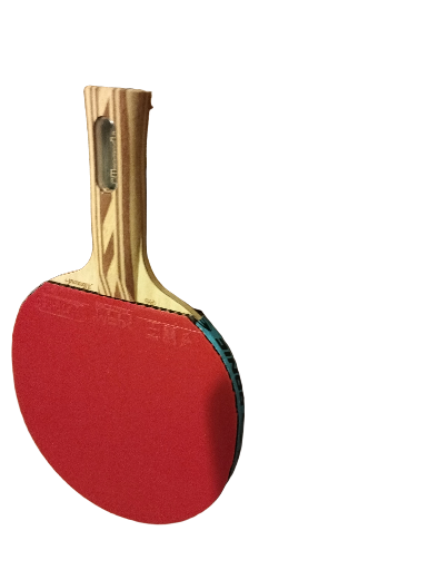Donier All Premade Racket - Rubbers Xiom Vega Europe