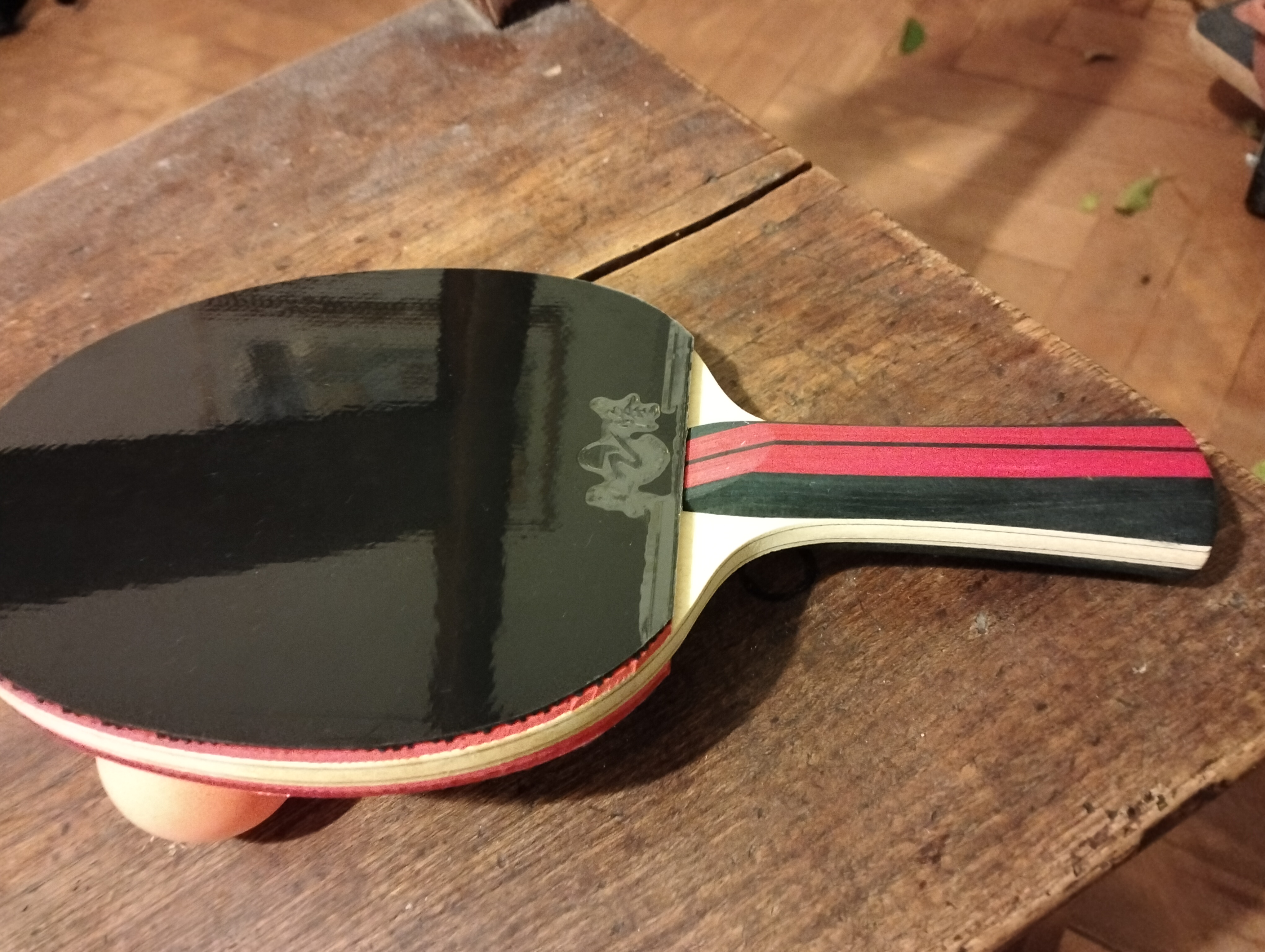 Xi En Ting 5 plywood + 2 carbon fiber premade racket with Zhuo Long rubbers