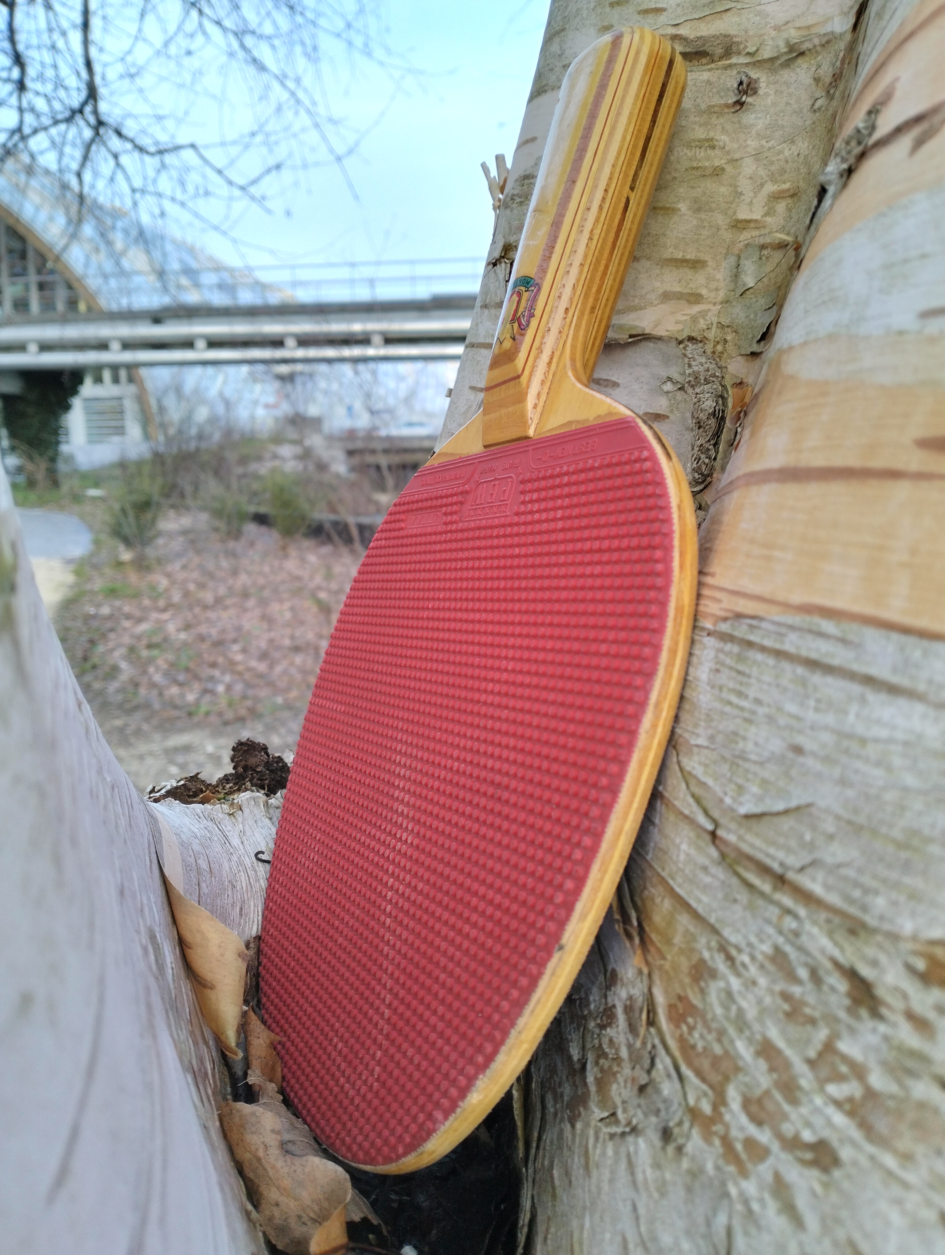 🏓 Vintage Montana Table Tennis Racket – PBW Japan Rubber (c. 1965–1975)
