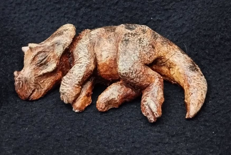 Bebe Triceratops