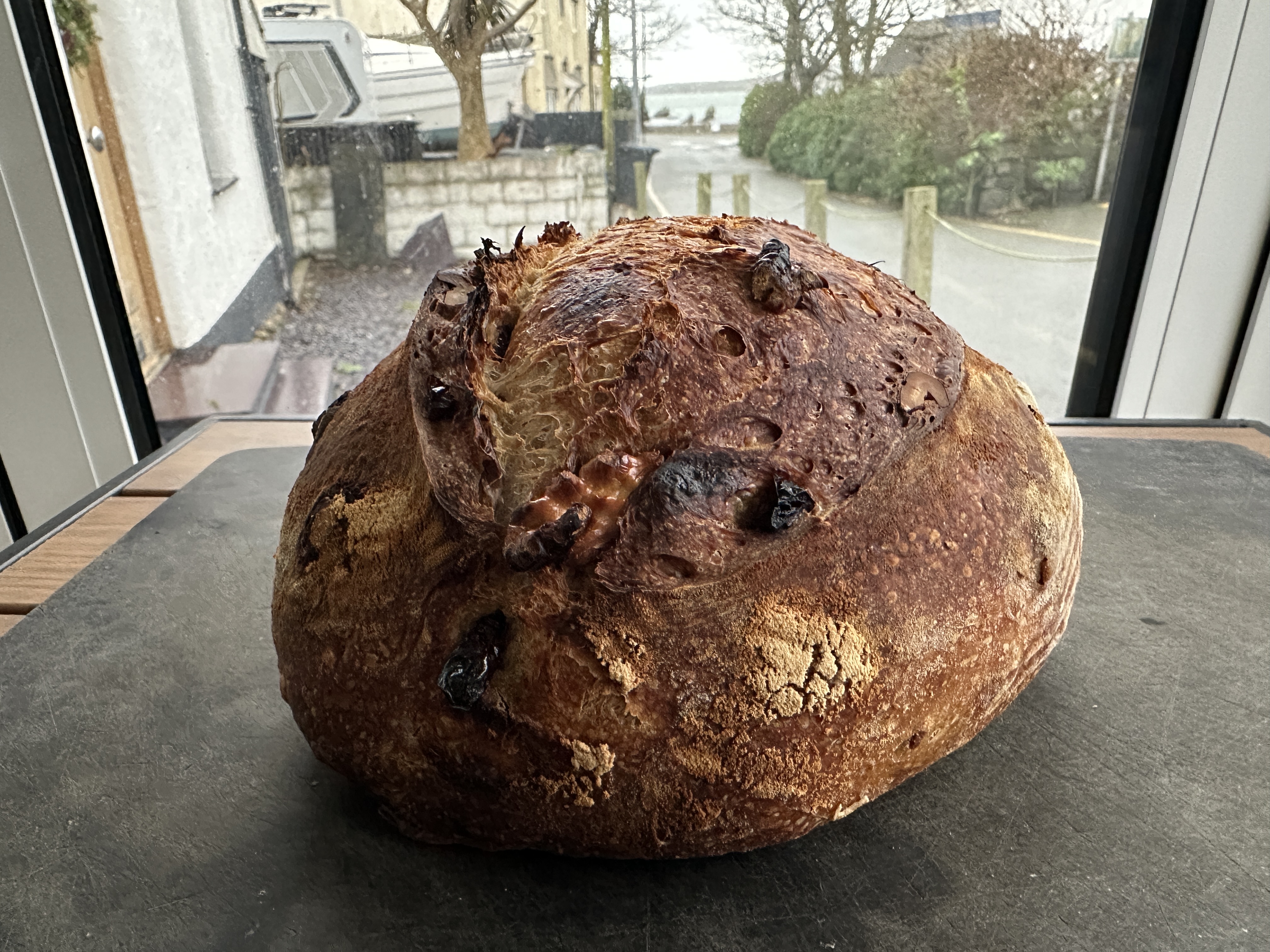 Artisan Sourdough Batard with Cranberry & Walnut