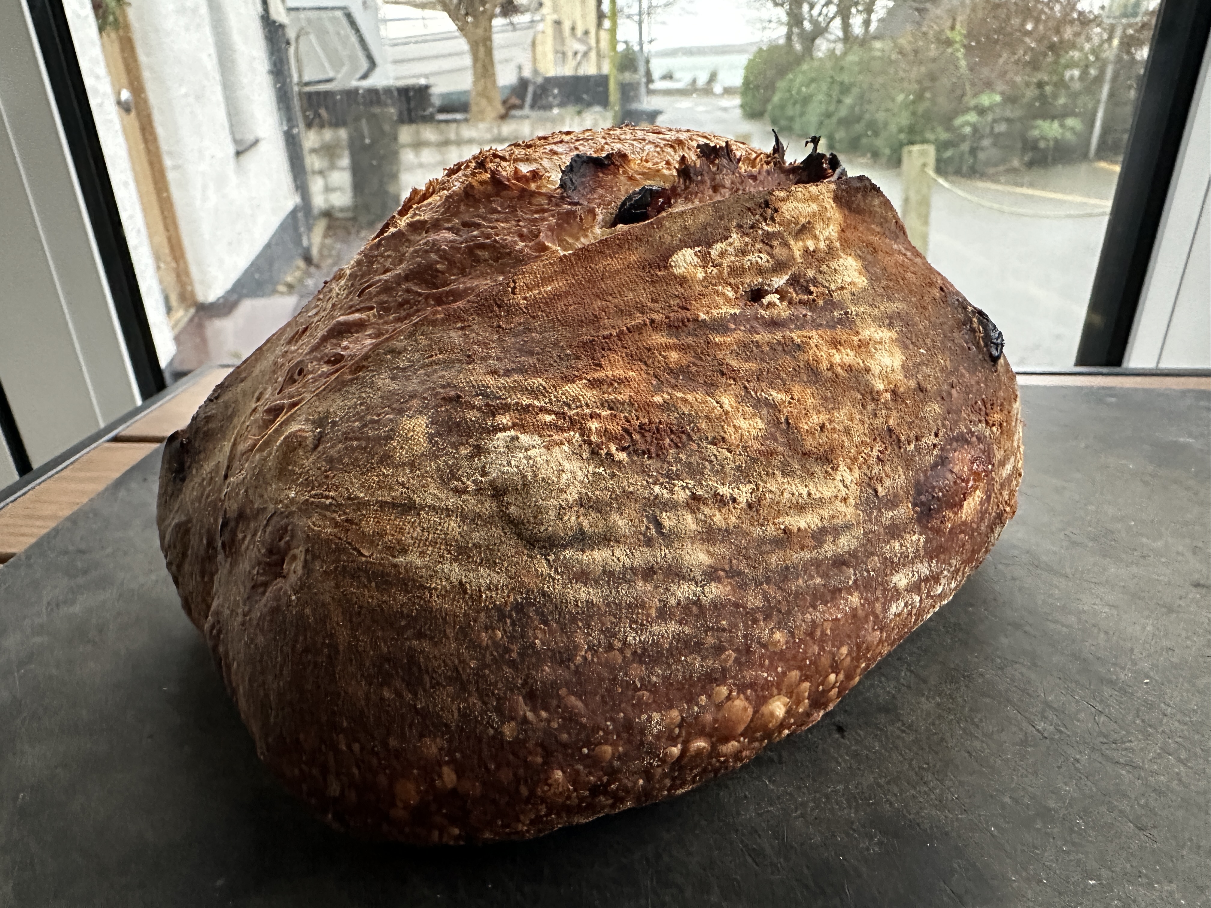 Artisan Sourdough Batard with Cranberry & Walnut