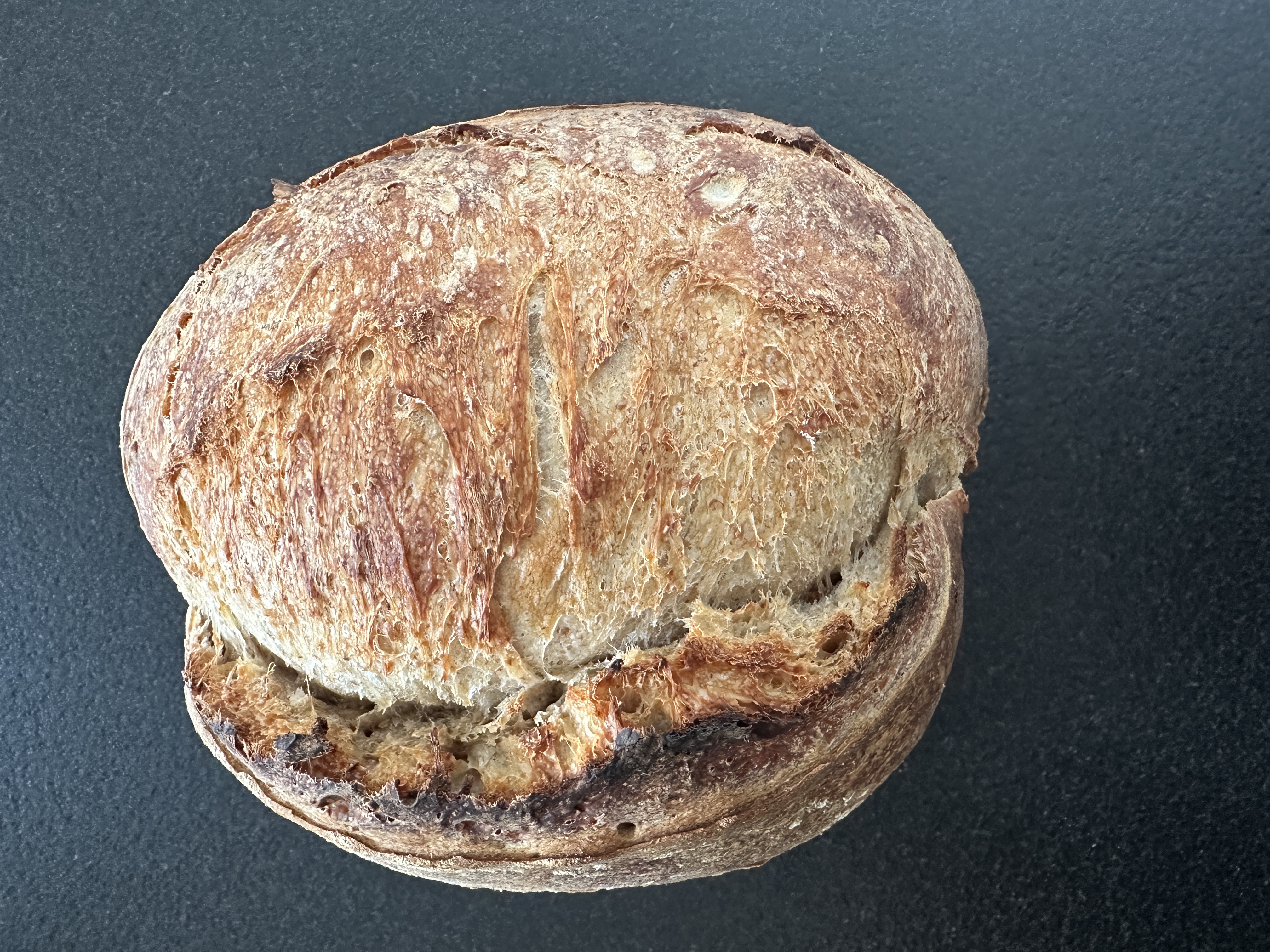 Artisan Sourdough Batard