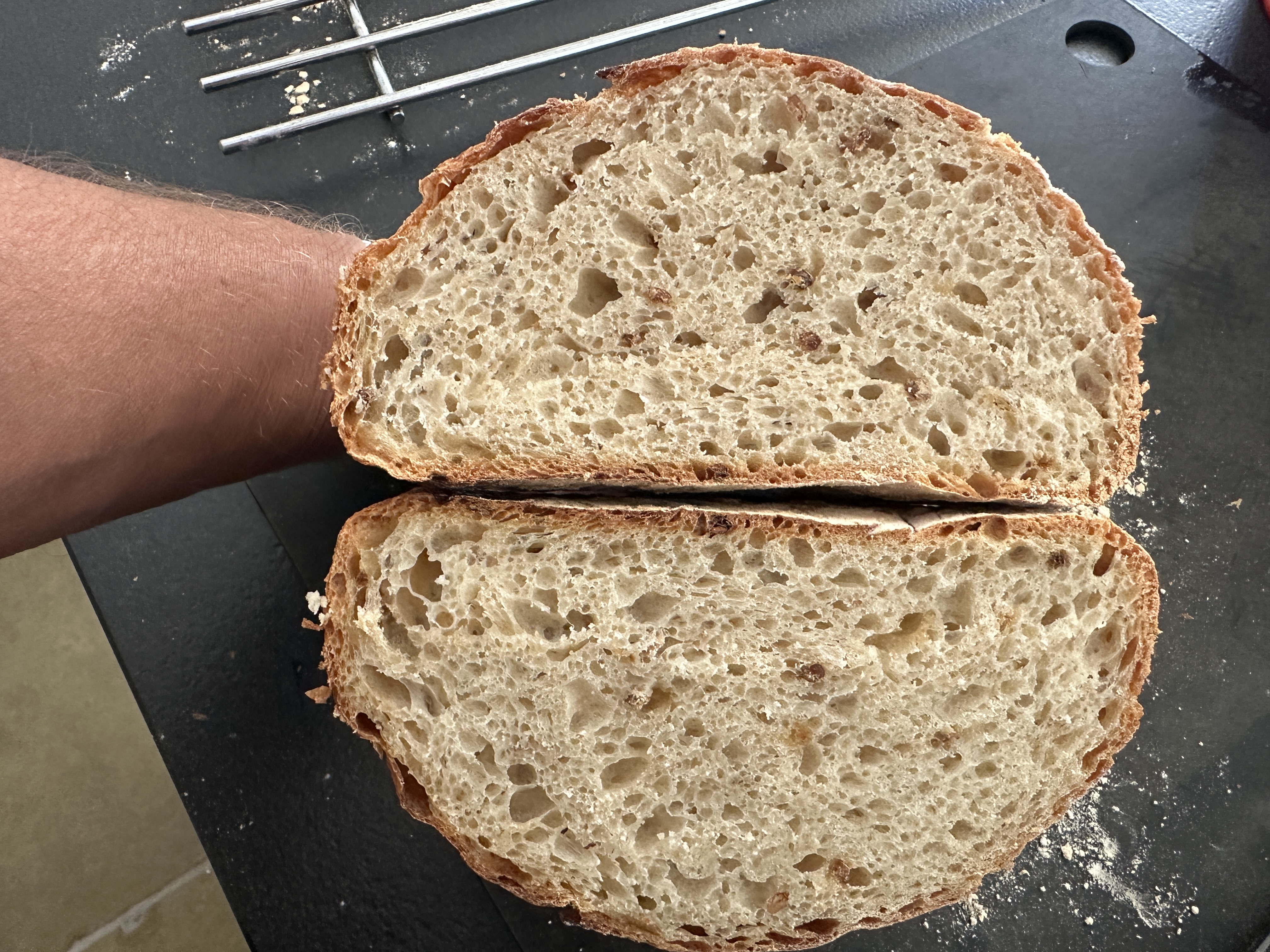 Rustic artisan Three Malts and Sunflower seed boule with extended fermentation and high hydration