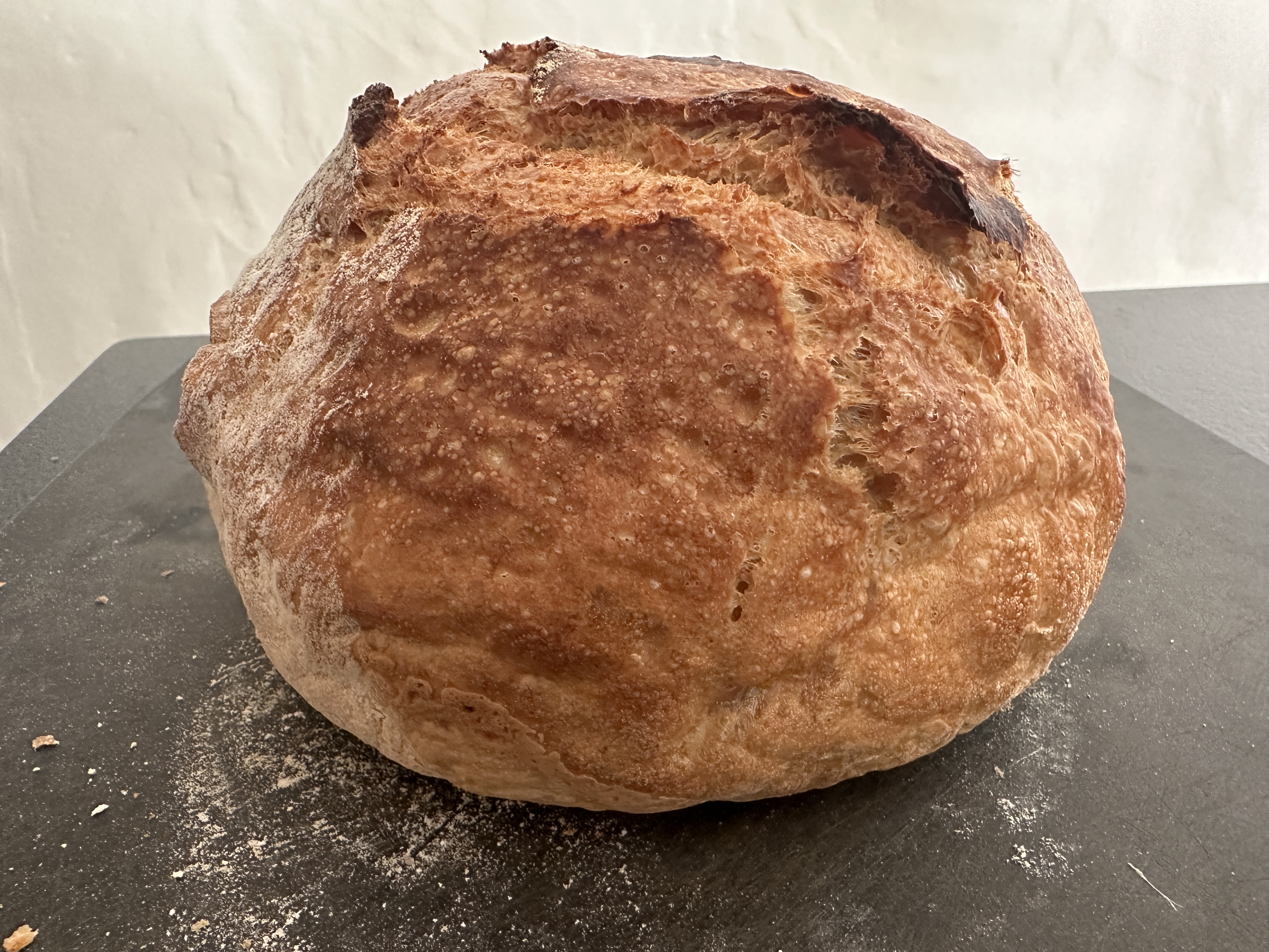 Hearth Artisan Boule with organic Khorasan Flour