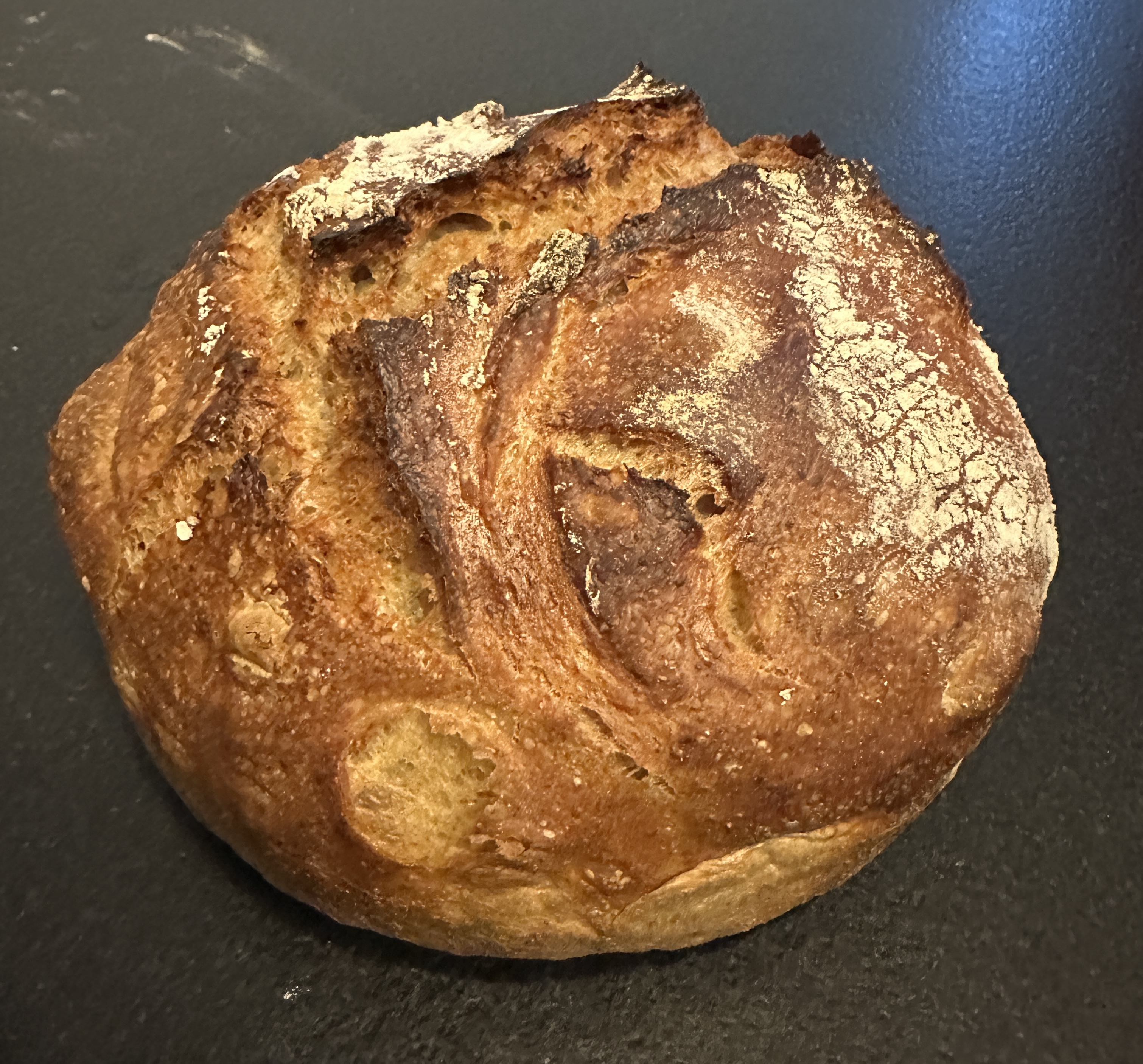Hearth Artisan Boule with organic Spelt, Fig & Pumpkin flour