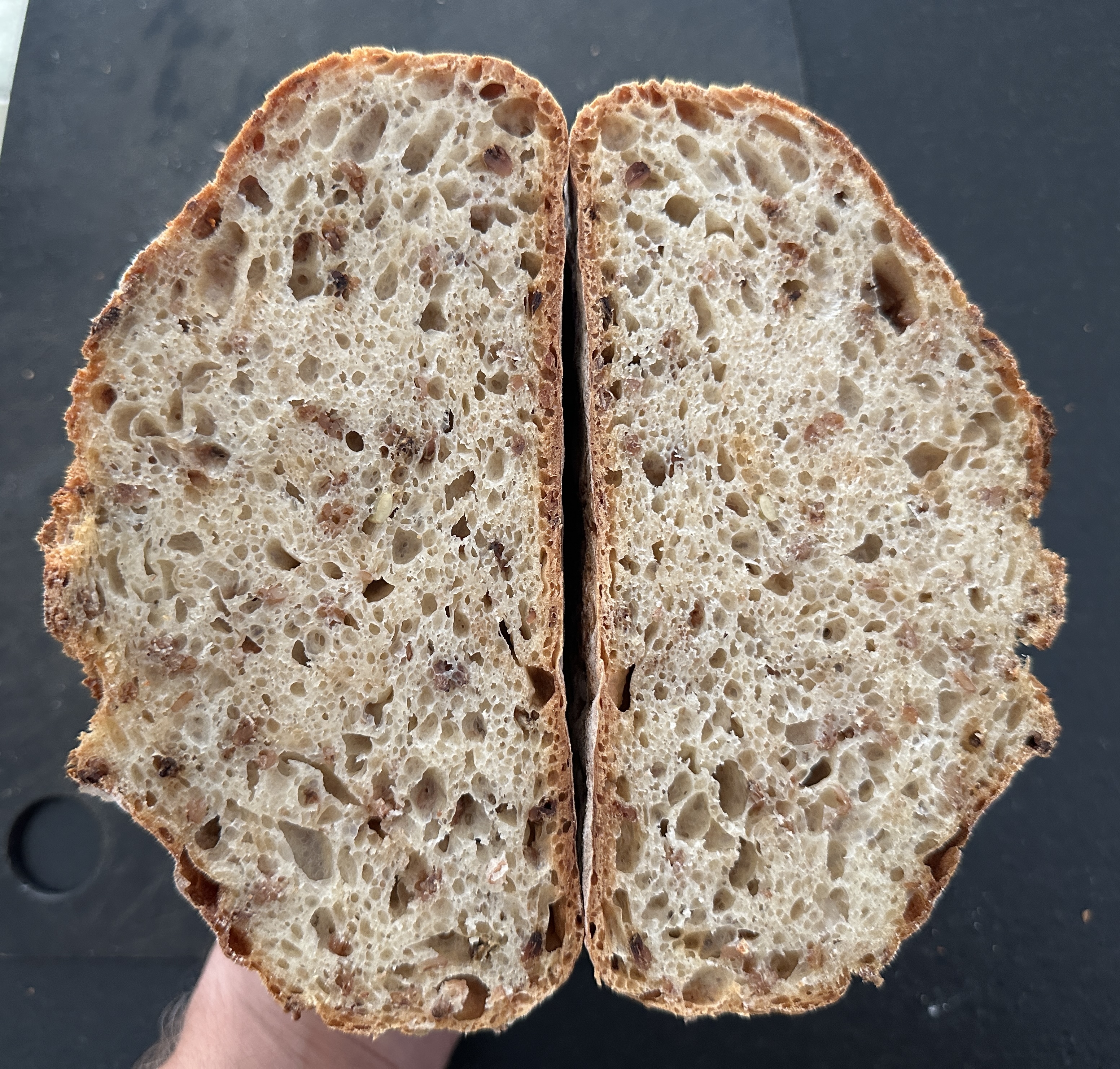 Artisan Boule with organic Malted Wheat Flakes and organic 3 Malts and Sunflower seed flour