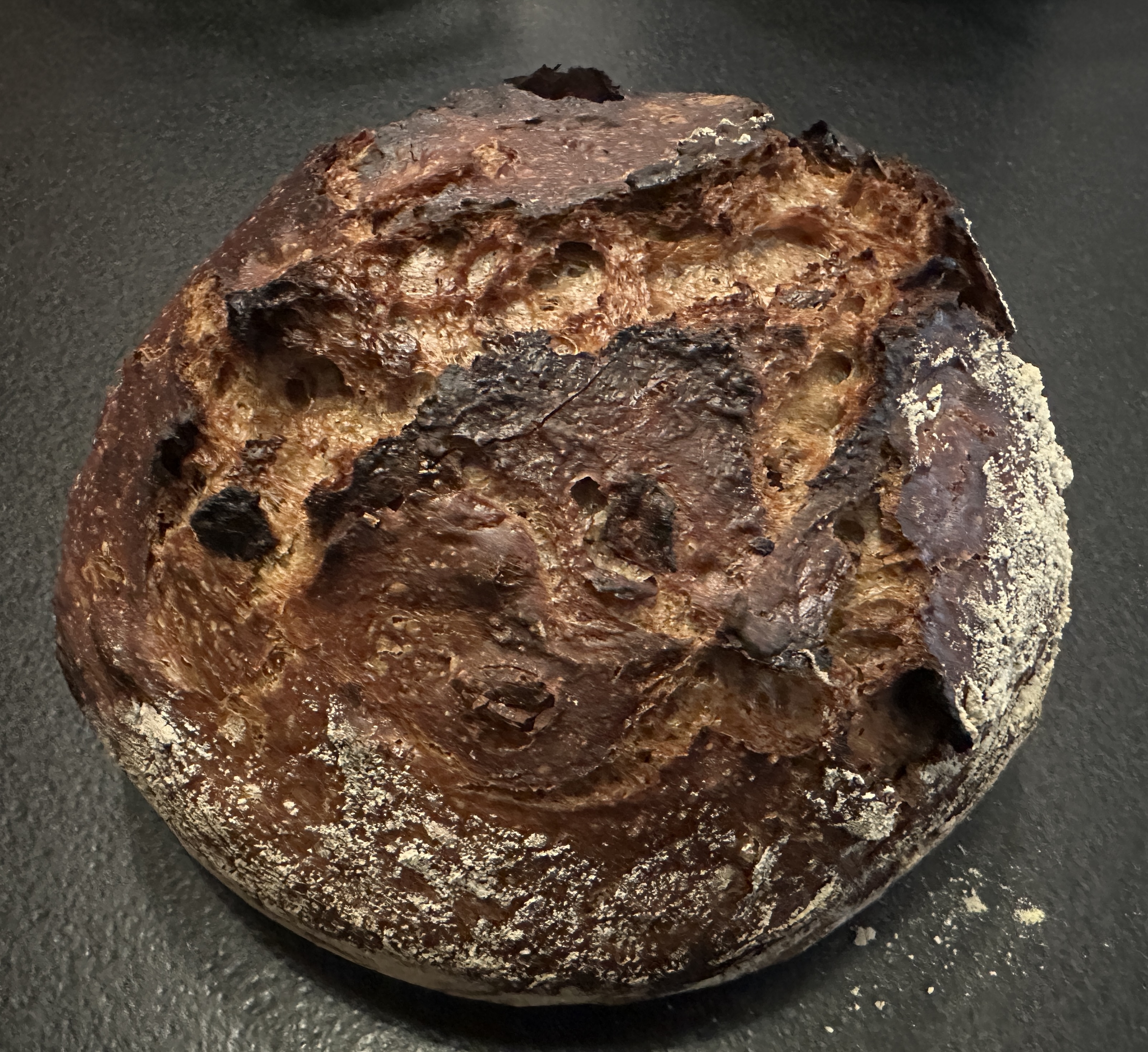 Artisan Boule with Cured Date & Toasted Walnut