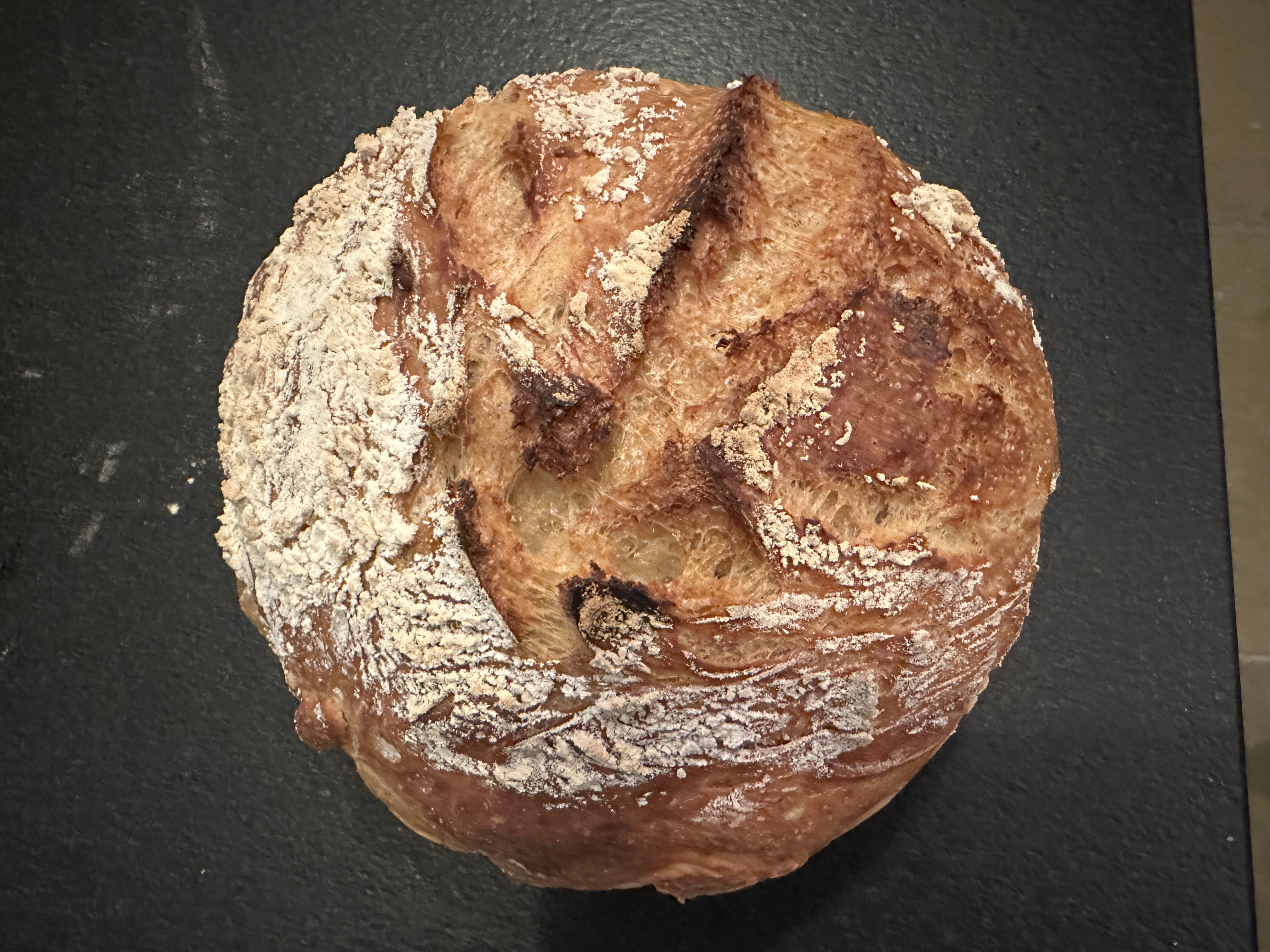 Rustic Artisan Boule with organic Spelt flour