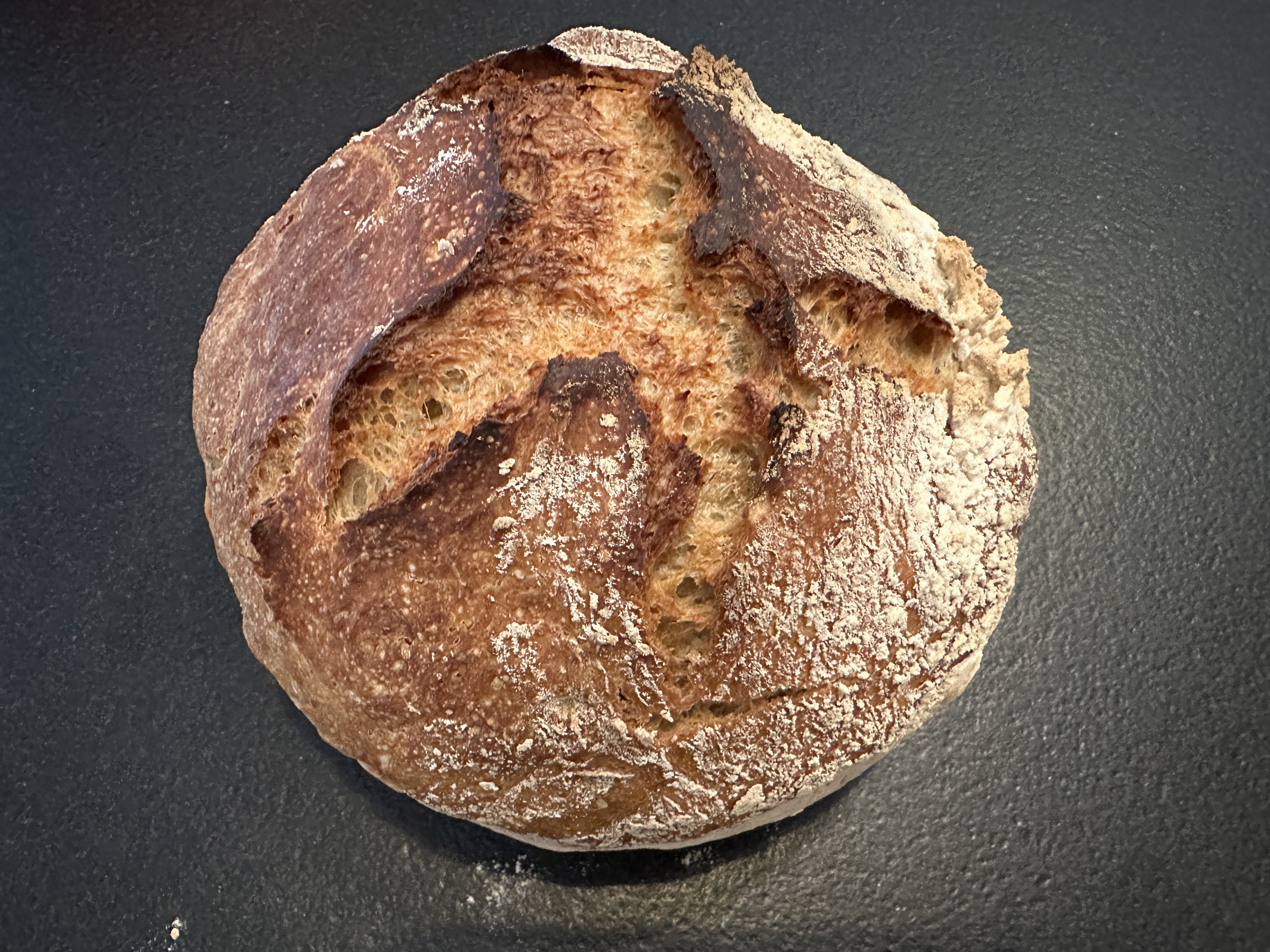 Artisan rustic boule with organic white flour and organic 3 malts flour