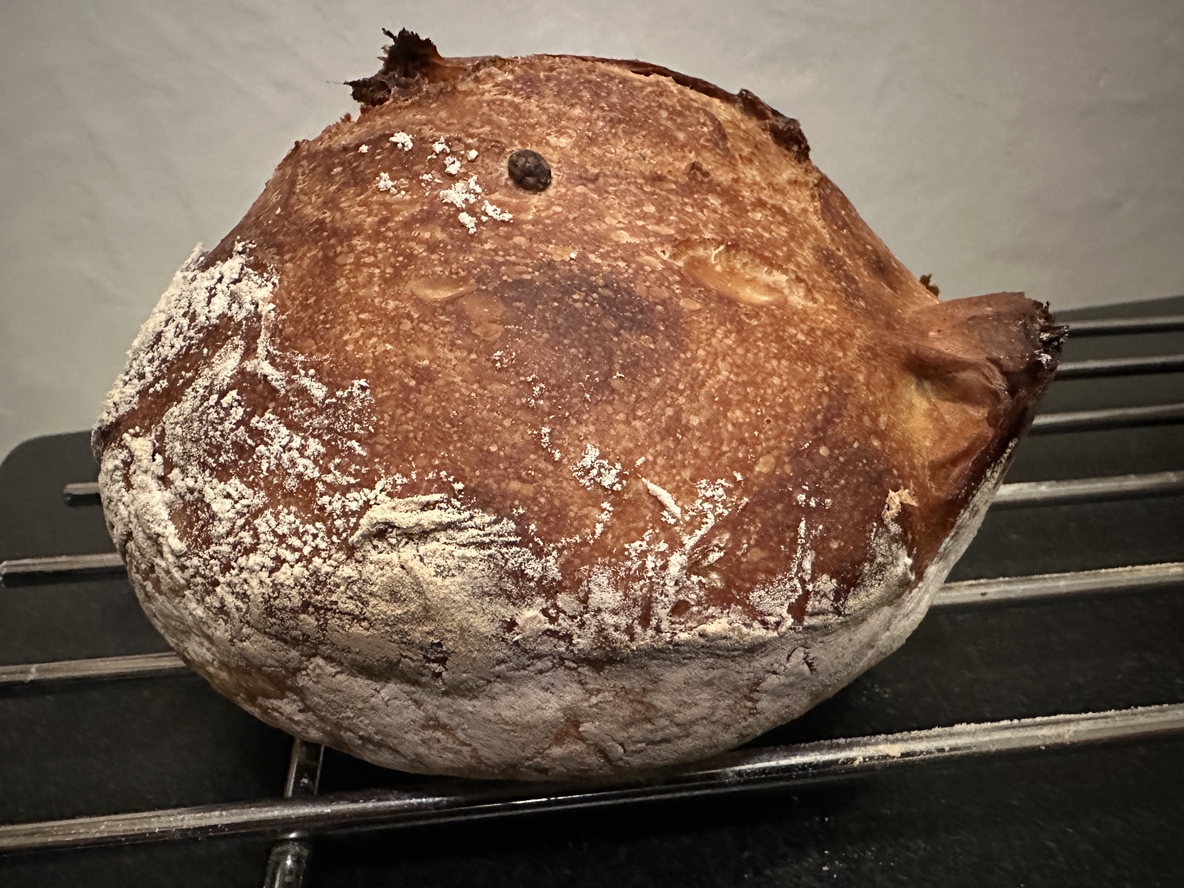Rustic artisan Three Malts and Sunflower seed boule with extended fermentation and high hydration