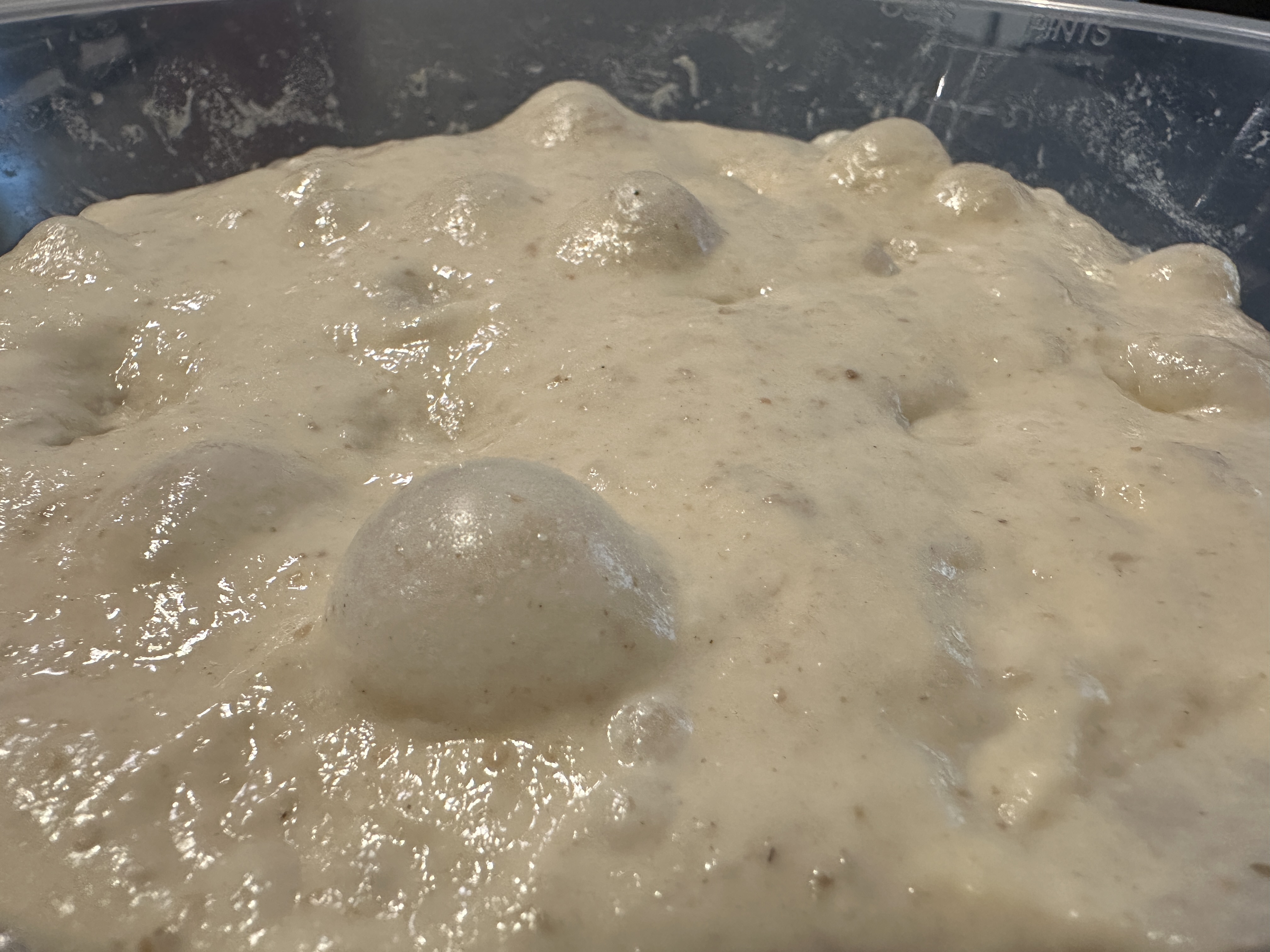 The Pane d’Oro: A Taste of the Mediterranean Sun