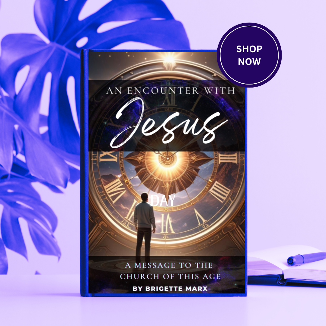 An Encounter With Jesus - Paperback