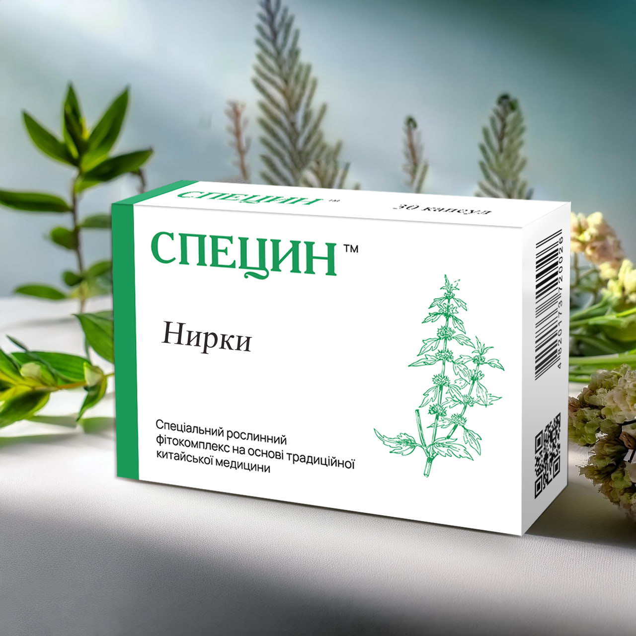 СПЕЦИН "Почки"