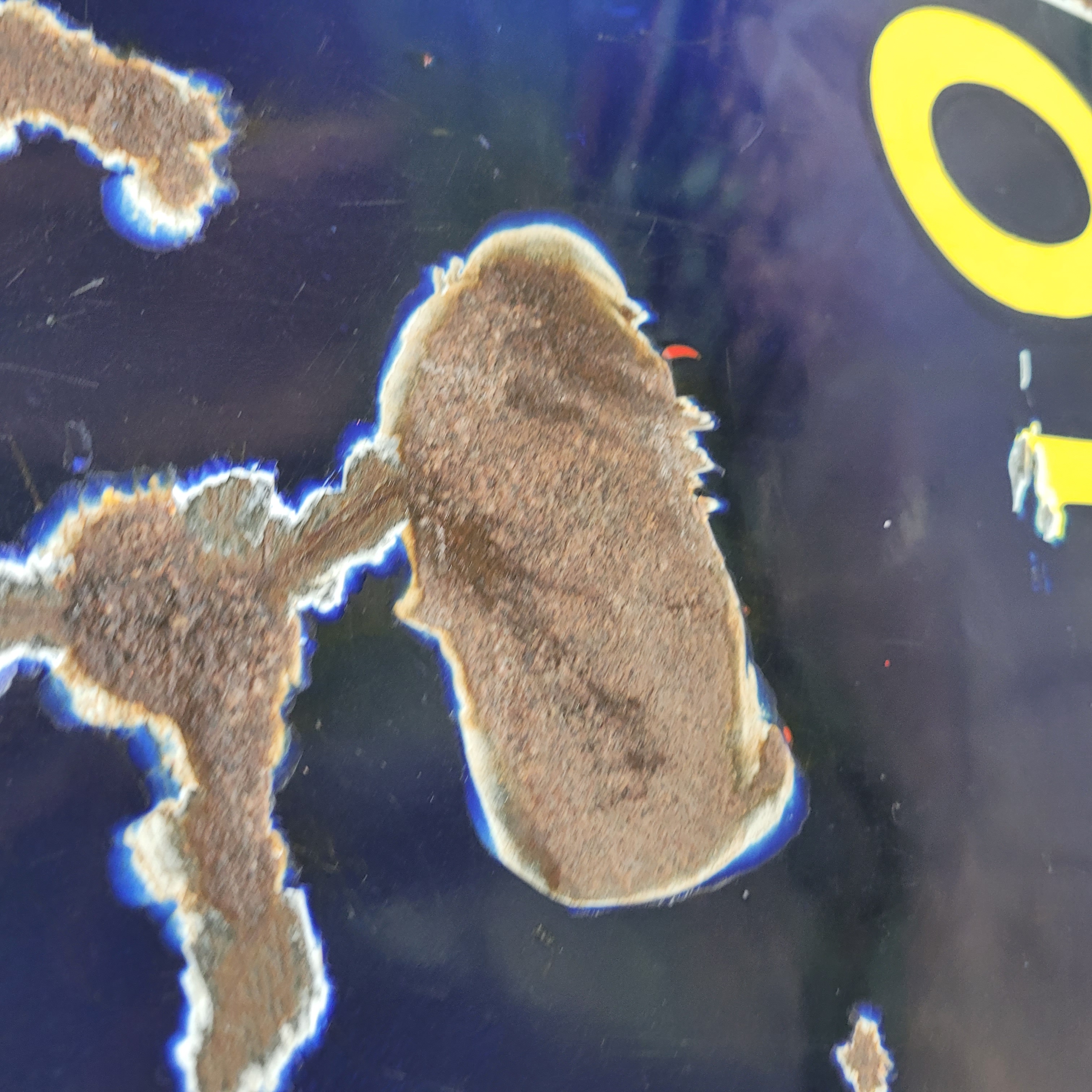 Old Original Enamel Porcelain CINZANO CAPIELLO sign 