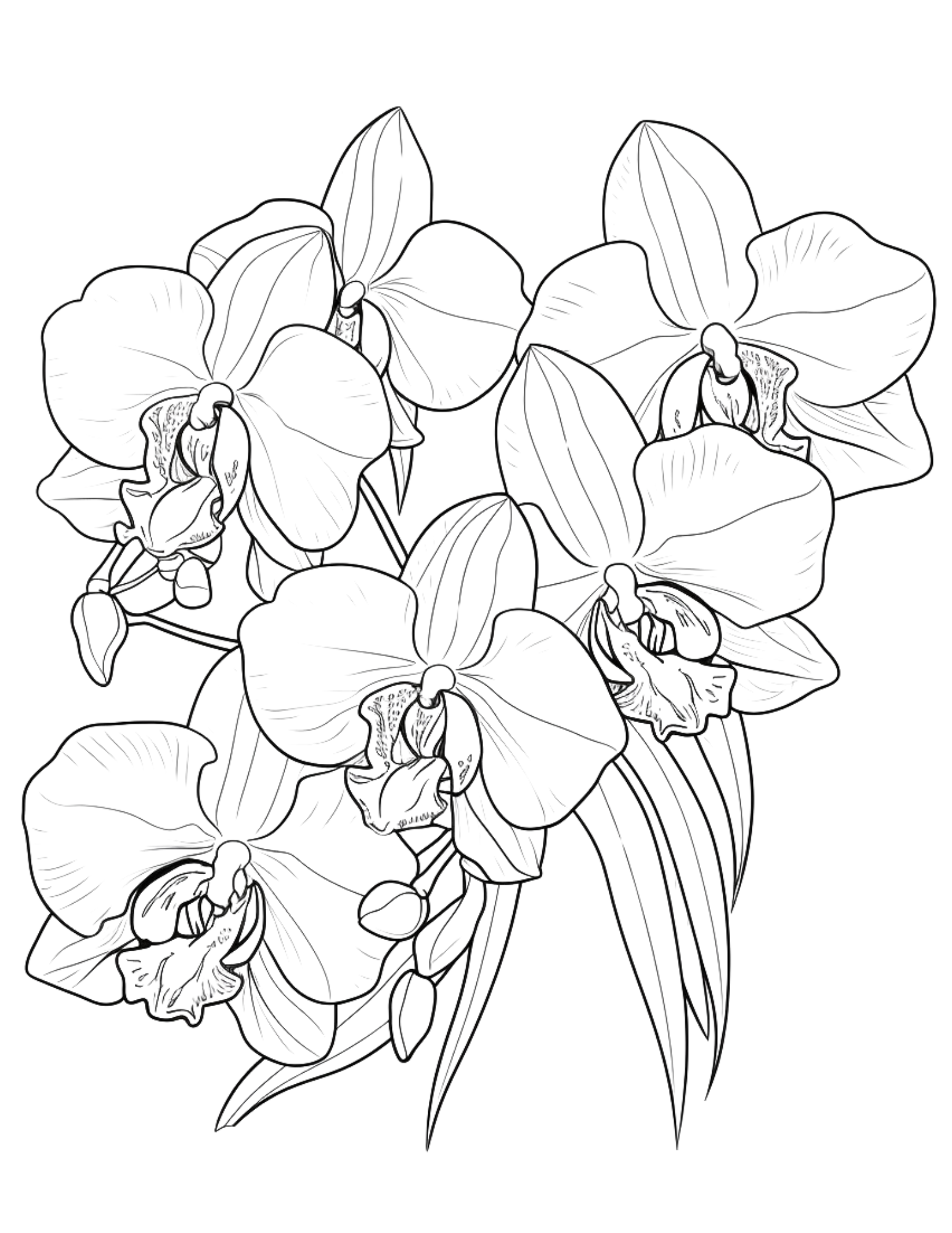 Discover 80 Beautiful Flower Coloring Pages for Relaxation and Creativity