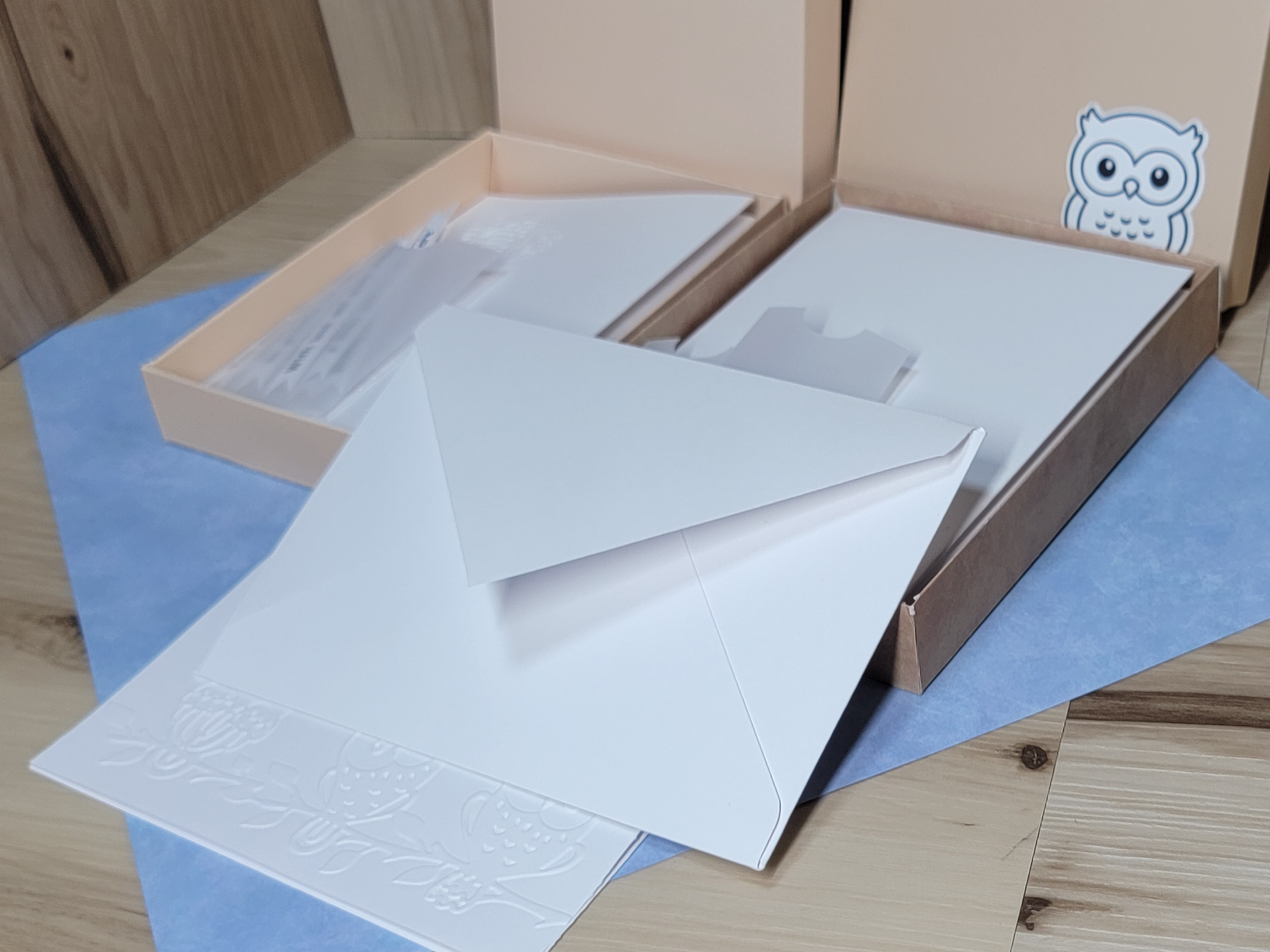 Embossed Owl Greeting Card Set