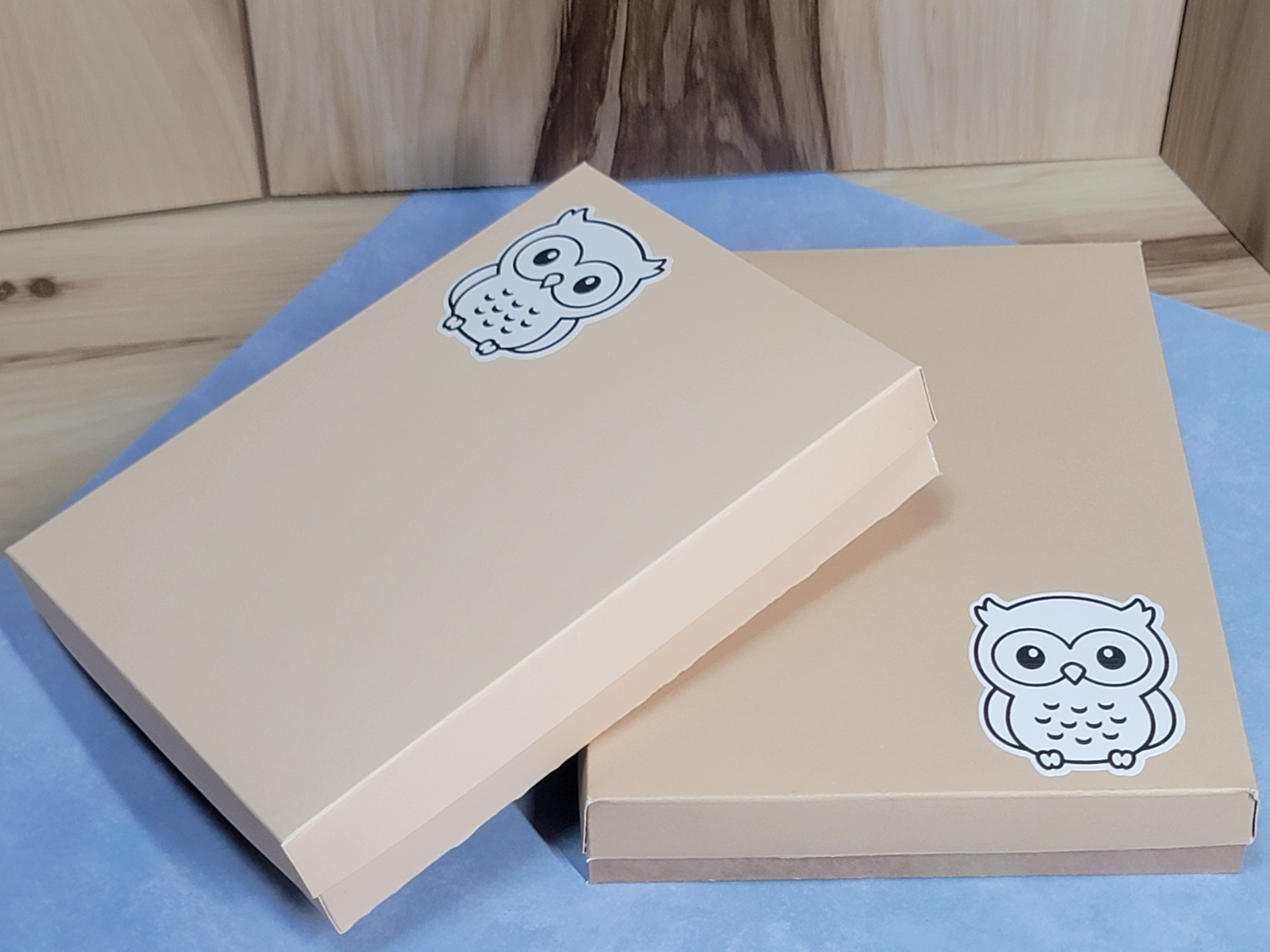 Embossed Owl Greeting Card Set