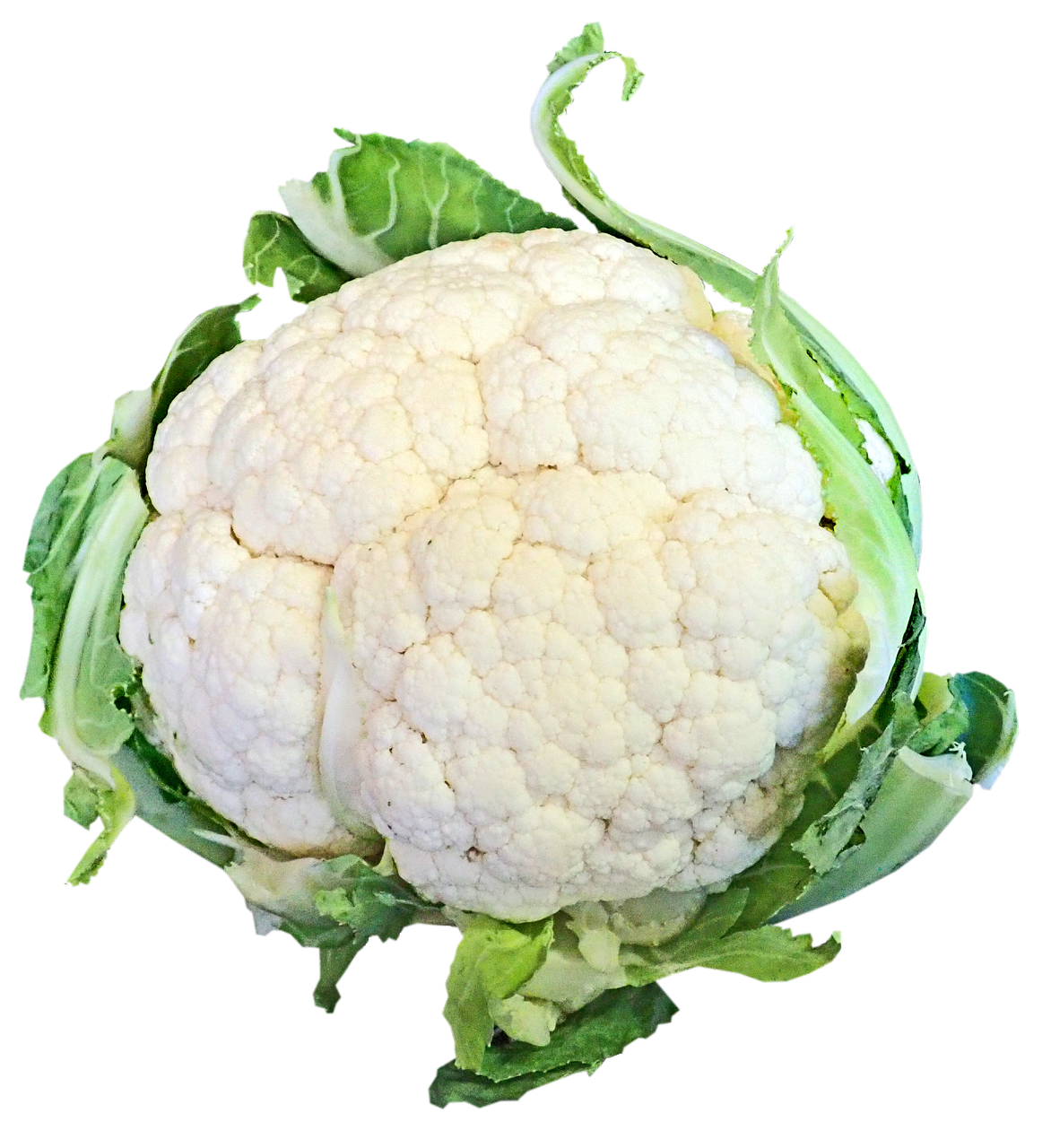 Cauliflower individual