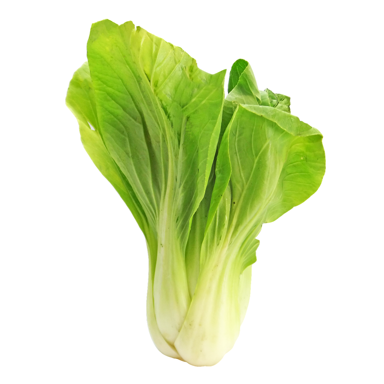 Bok Choy