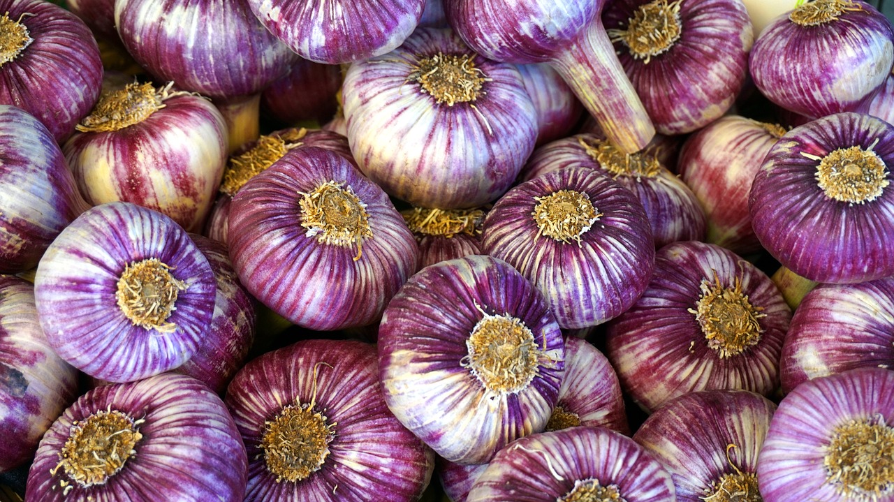 Purple Garlic 250g