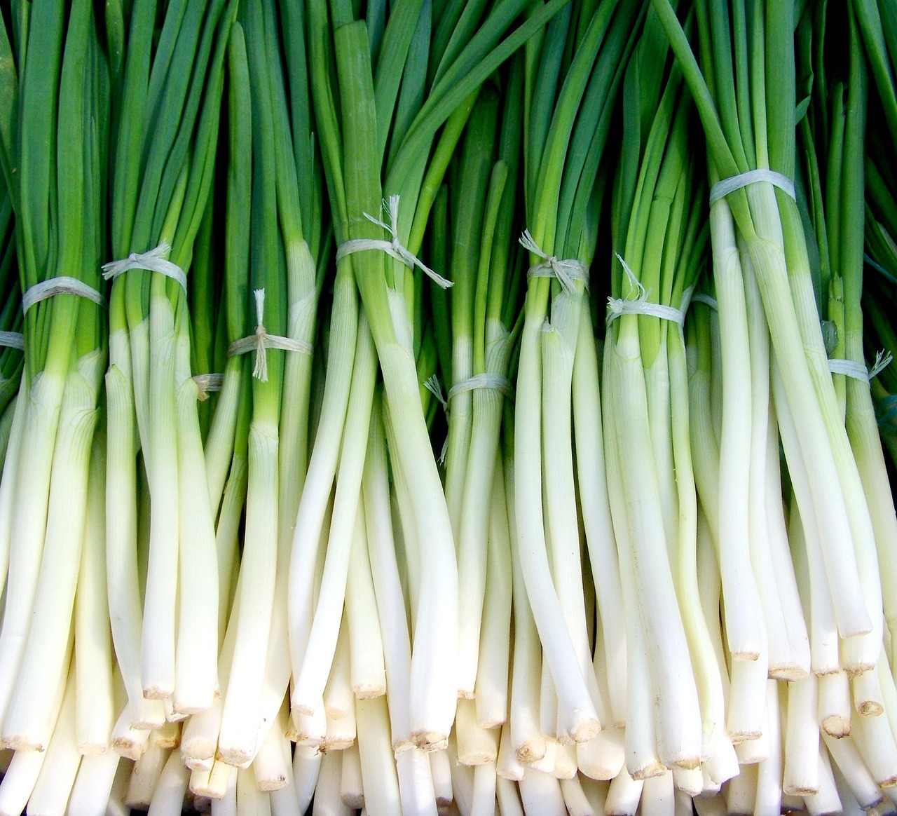 Spring Onions per bunch