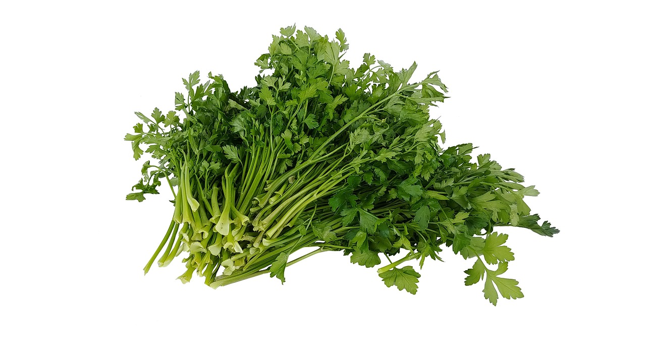 Parsley per bunch