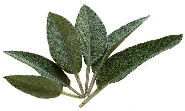 Sage per bunch