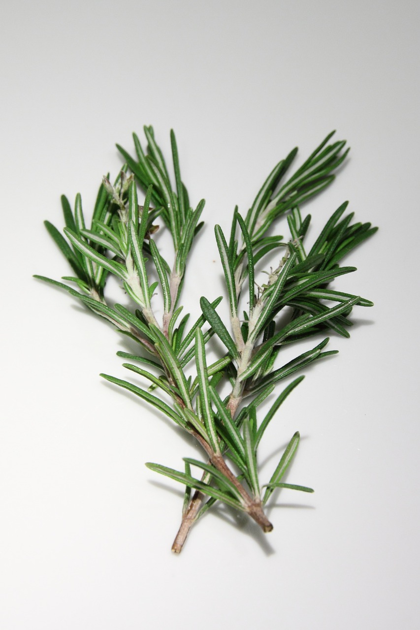 Rosemary per bunch