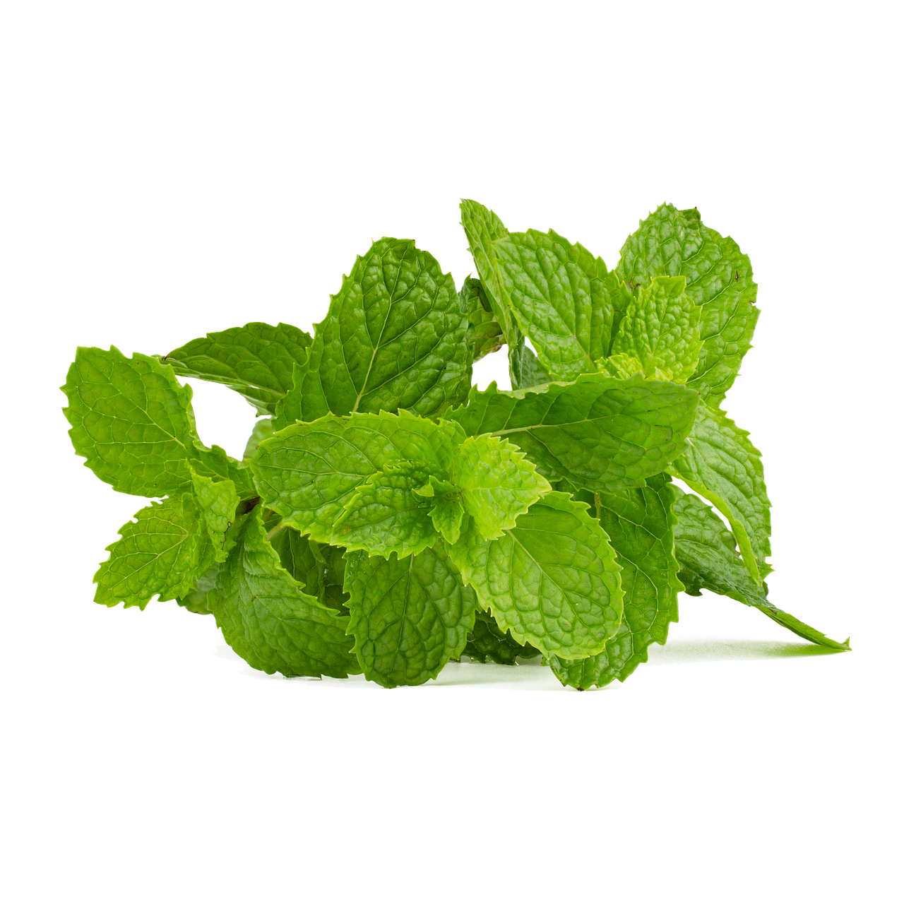 Mint per bunch