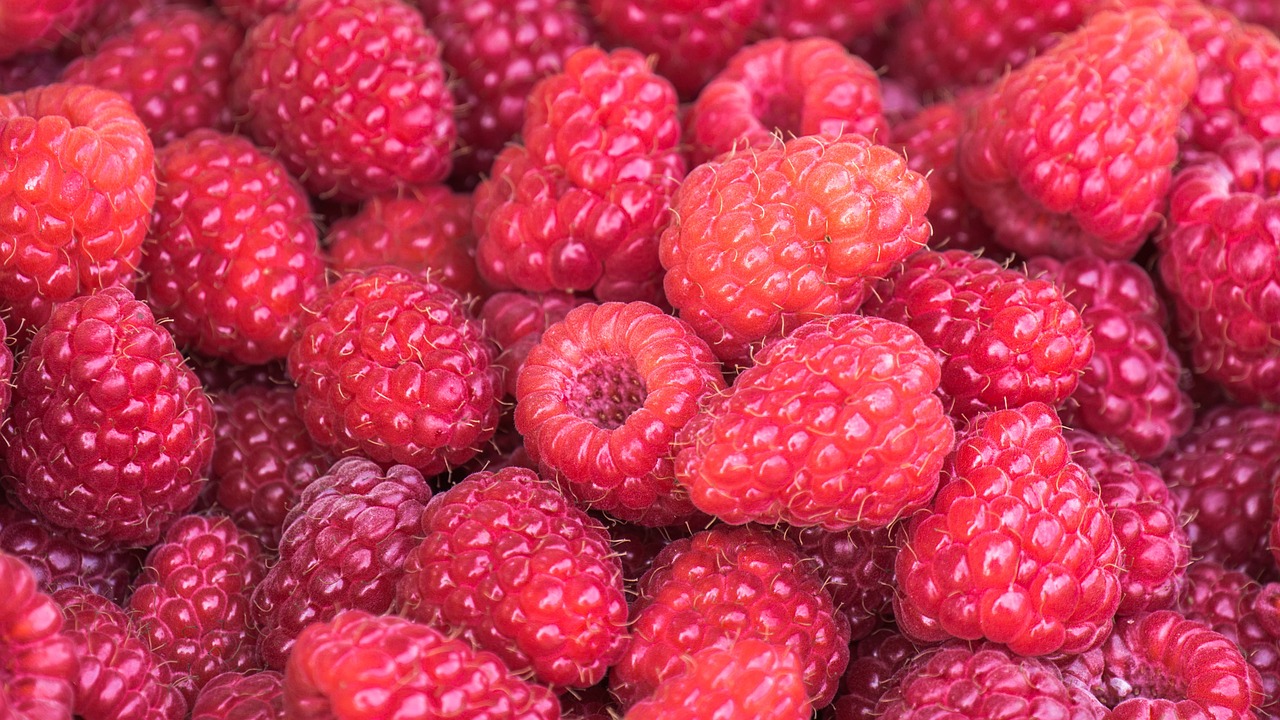 Raspberry per punnet