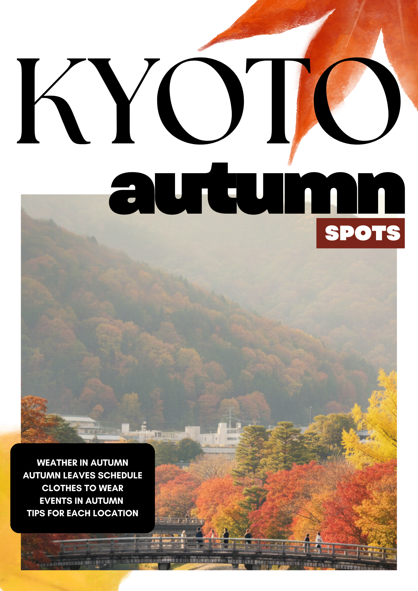 Autumn Spots in Kyoto
