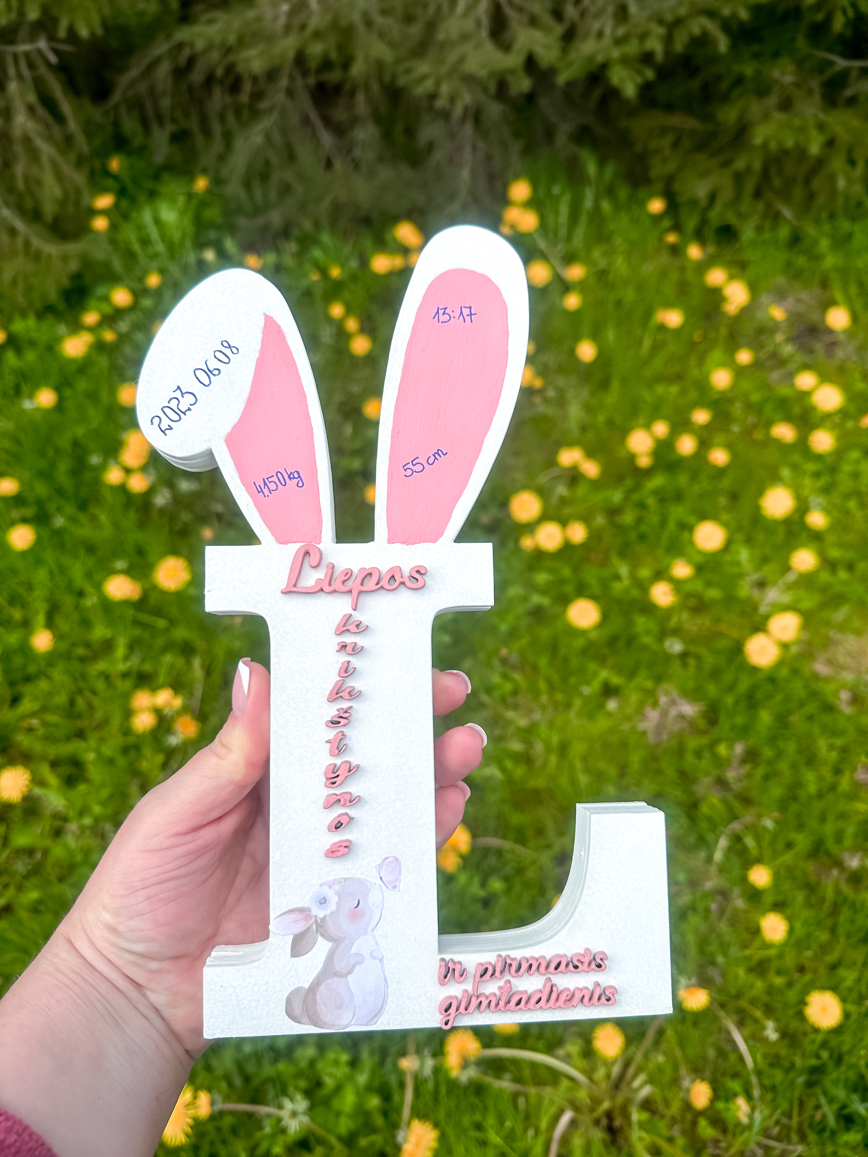 Gimimo metrikas “Raidė”