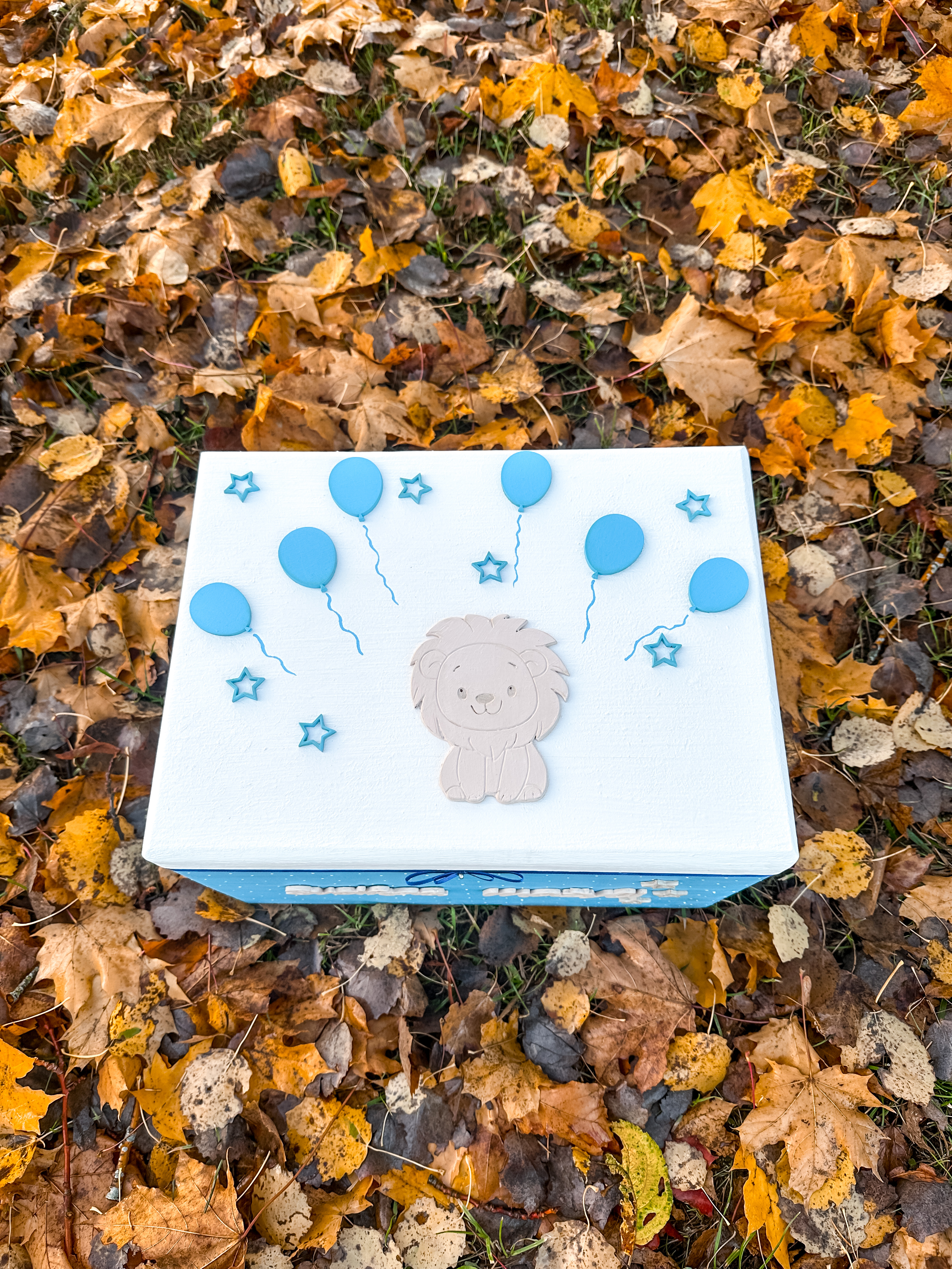 Prisiminimų dėžutė “Sveikas, mažyli”