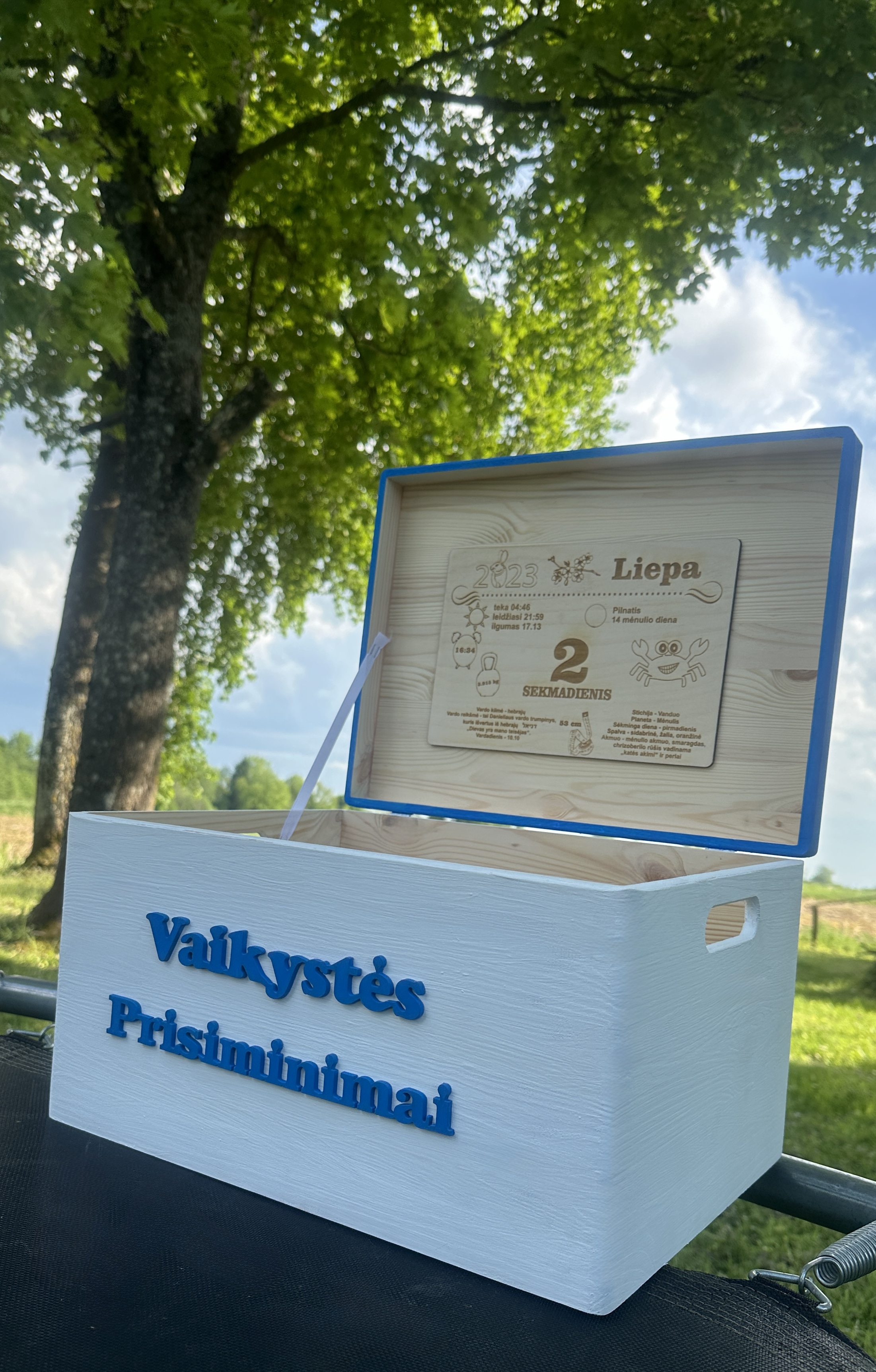 Vaikystės prisiminimų dėžutė